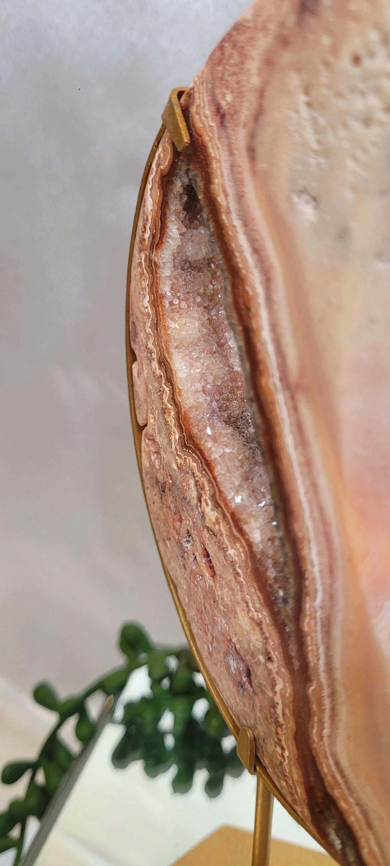 Pink Crazy Lace Agate Crescent Moon with Druzy Cente