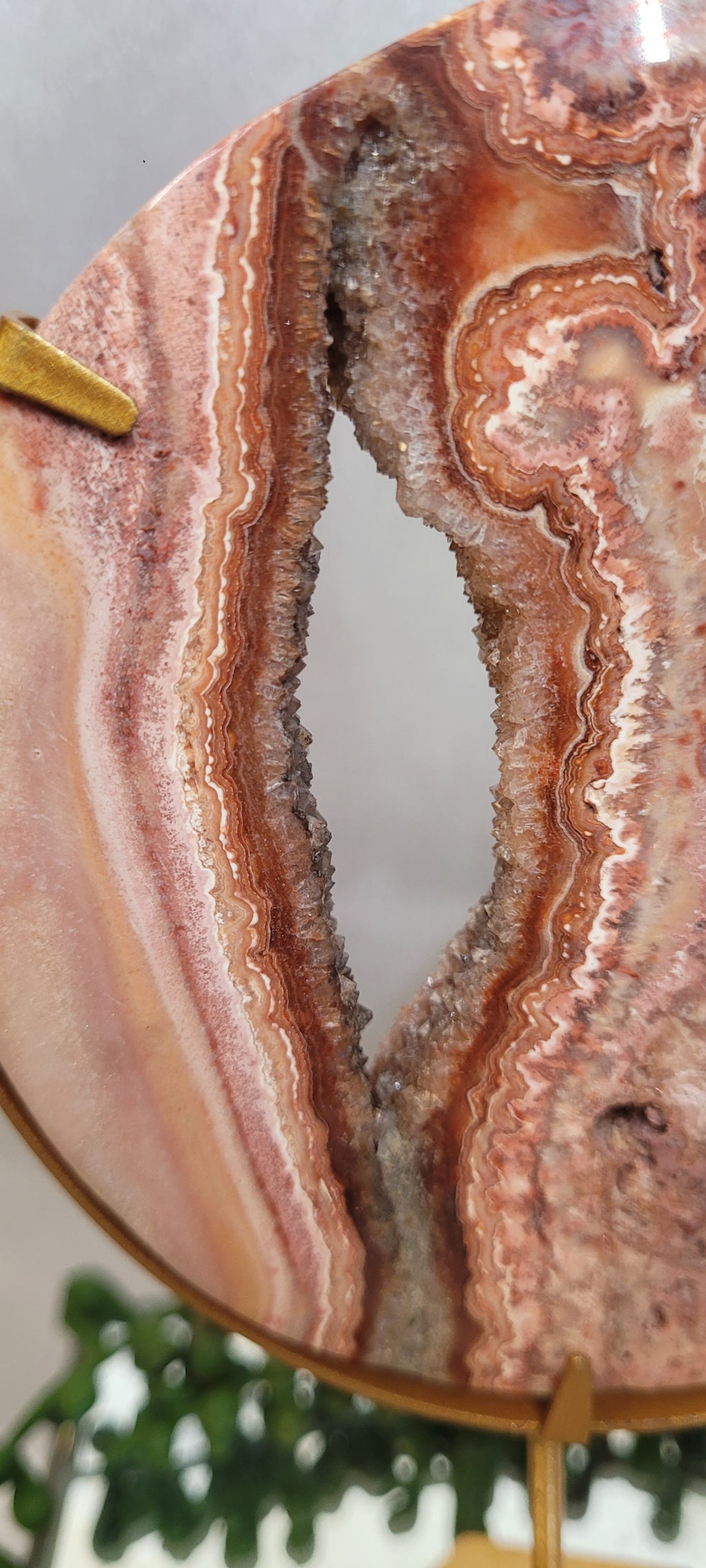 Pink Crazy Lace Agate Crescent Moon with Druzy Center on Gold Stand