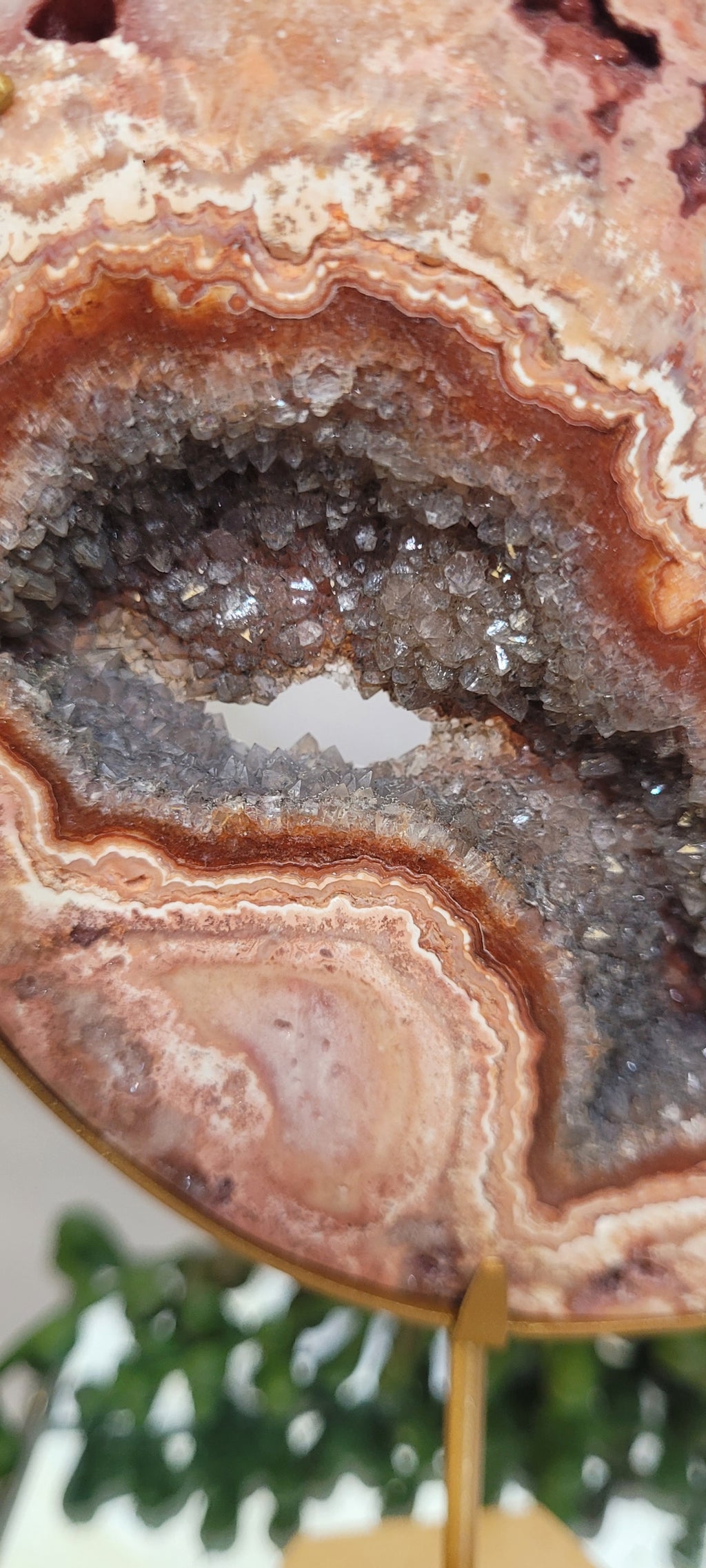 Pink Crazy Lace Agate Druzy Crescent Moon on Gold Stand