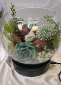 Whispering Grove Crystal Terrarium | Smithsonite, Aquamarine, Amazonite & Amethyst