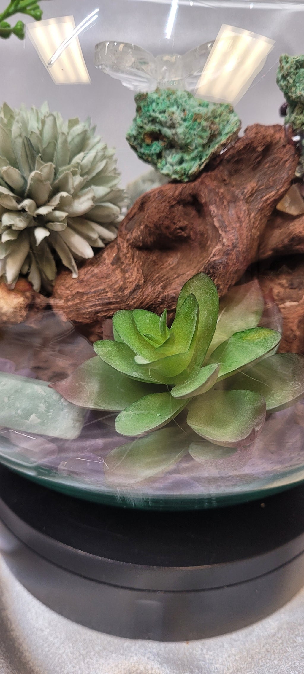 Whispering Grove Crystal Terrarium | Smithsonite, Aquamarine, Amazonite & Amethyst