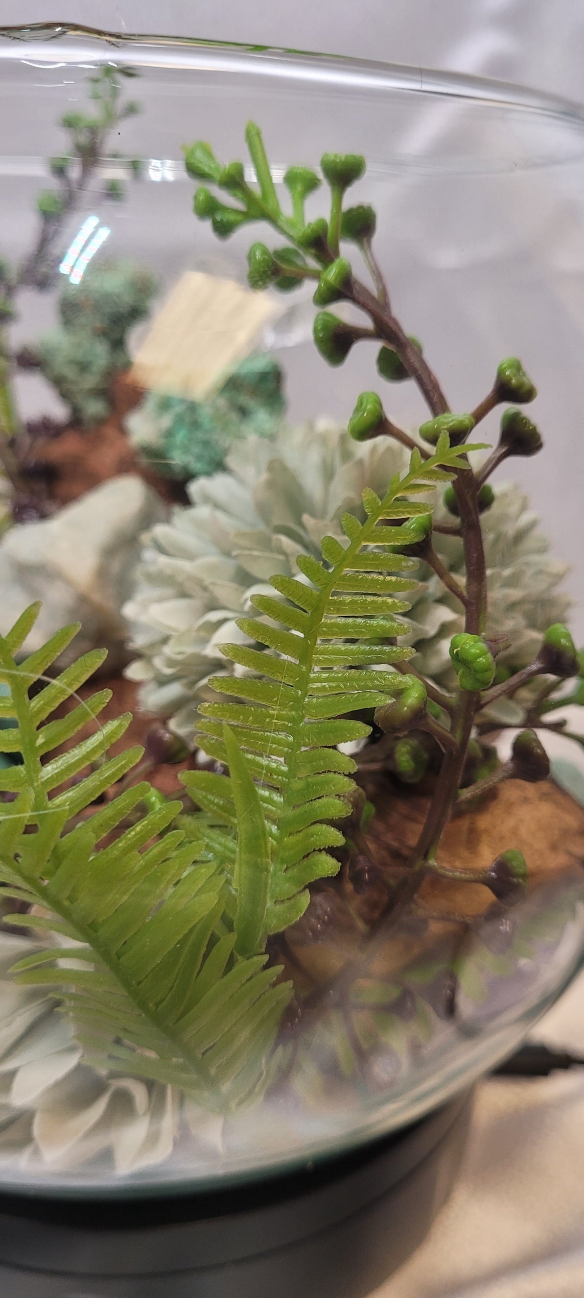 Whispering Grove Crystal Terrarium | Smithsonite, Aquamarine, Amazonite & Amethyst