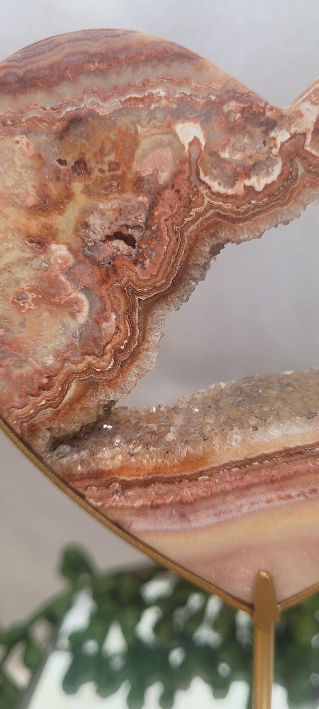 Pink Crazy Lace Agate Druzy Heart on Gold Stand | Banded Agate Crystal Display | 143g