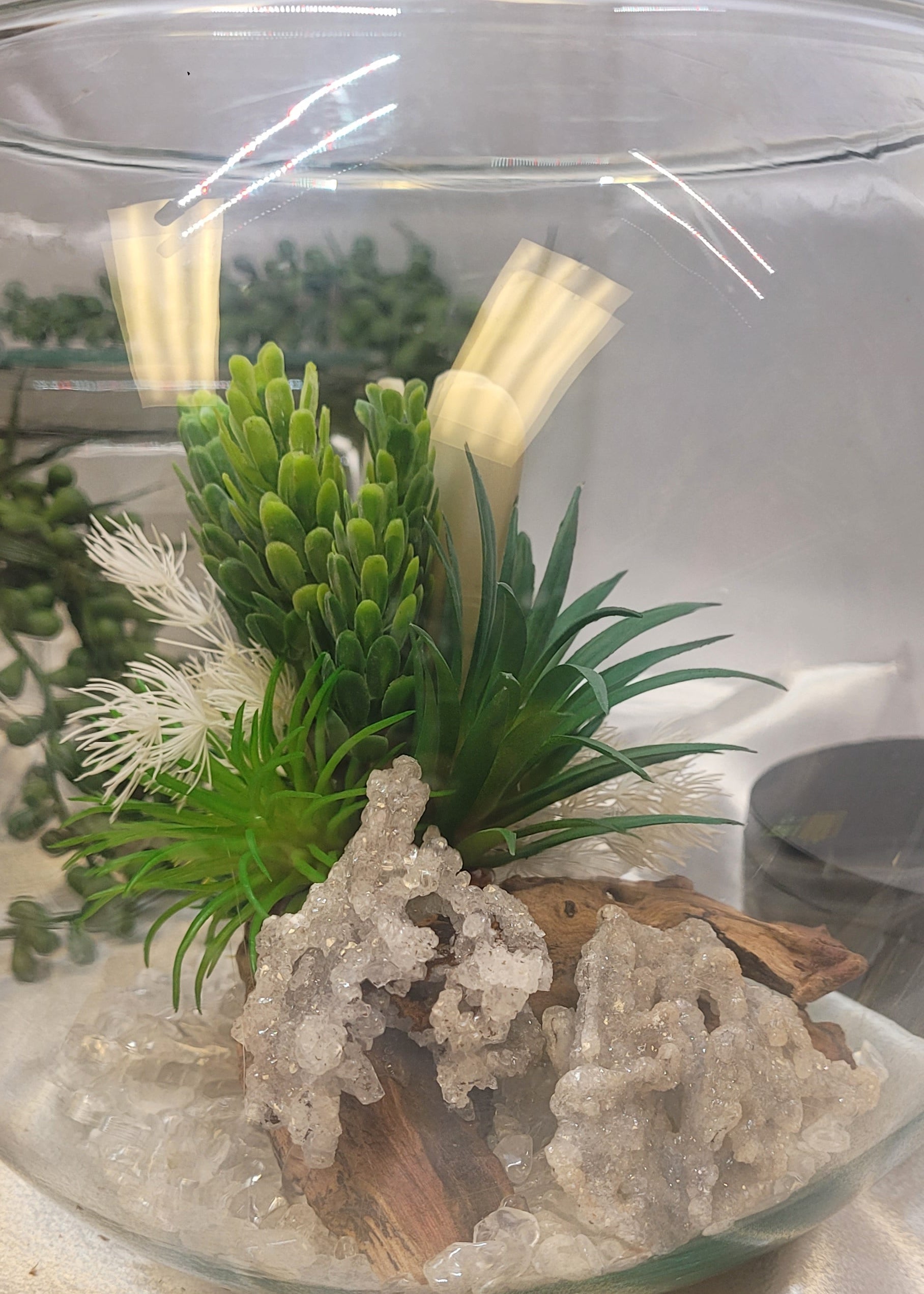 Aventurine Angel Crystal Terrarium