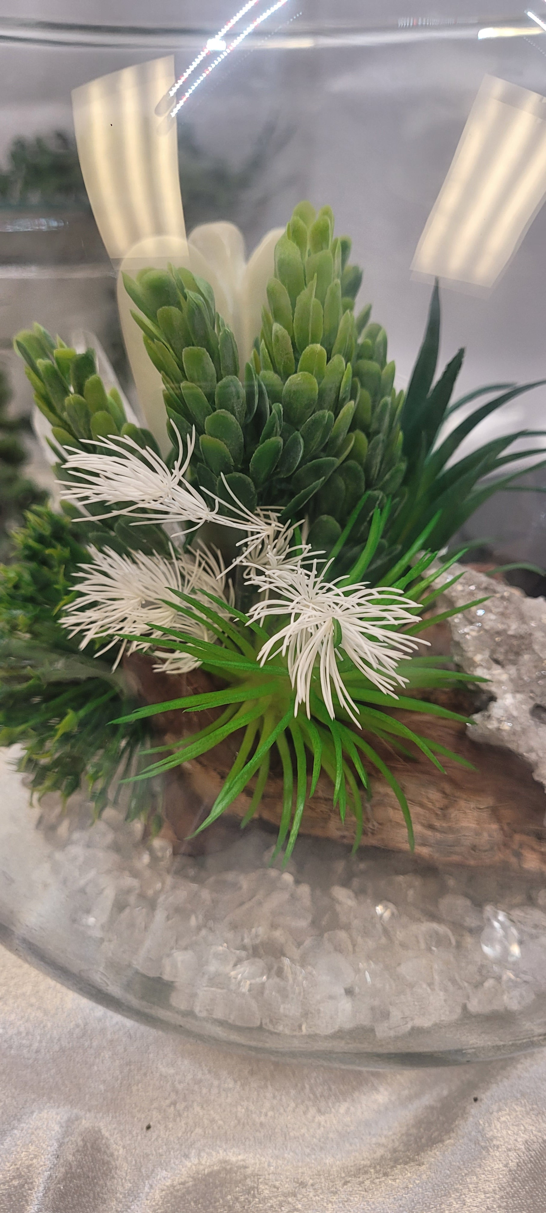 Aventurine Angel Crystal Terrarium