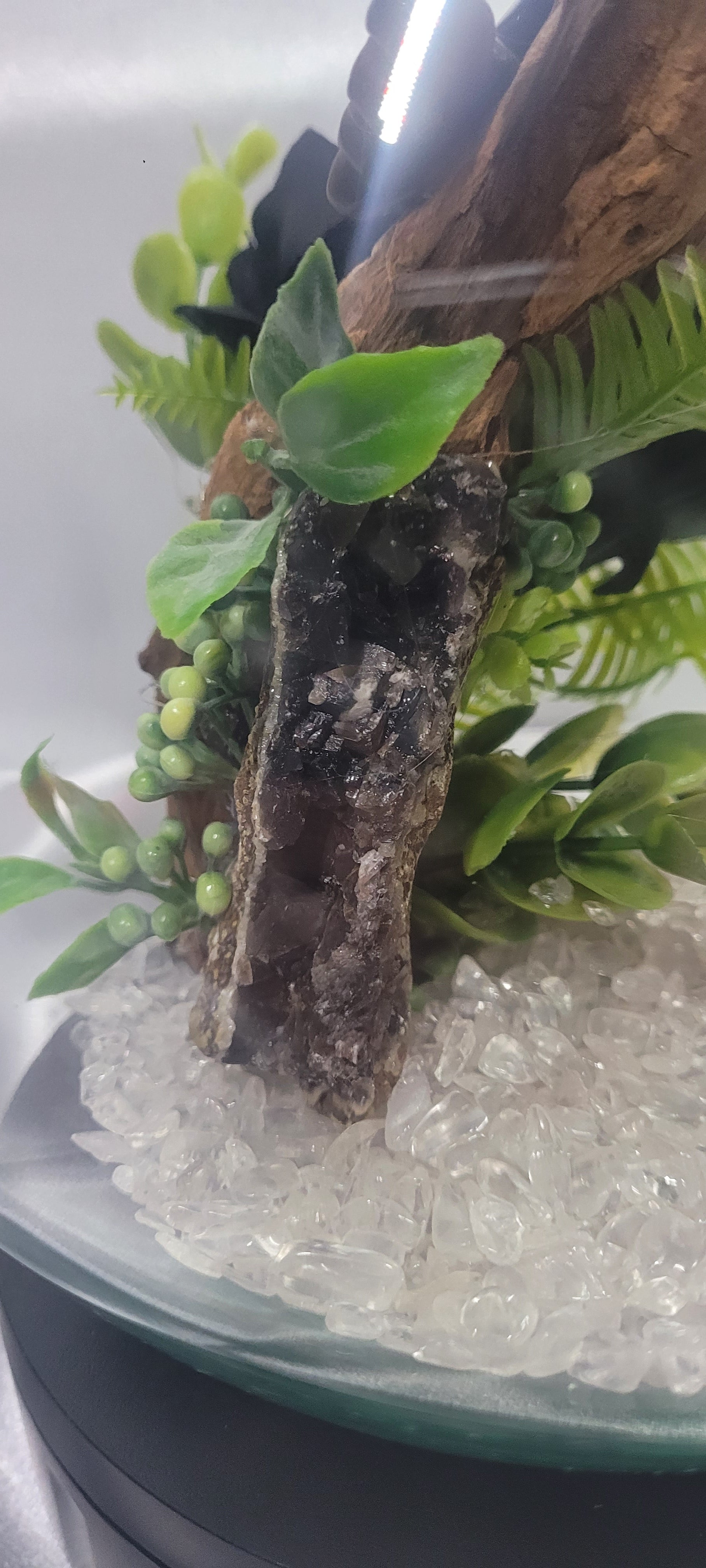 Midnight Garden Smoky Quartz Terrarium with Silver Sheen Obsidian Butterfly