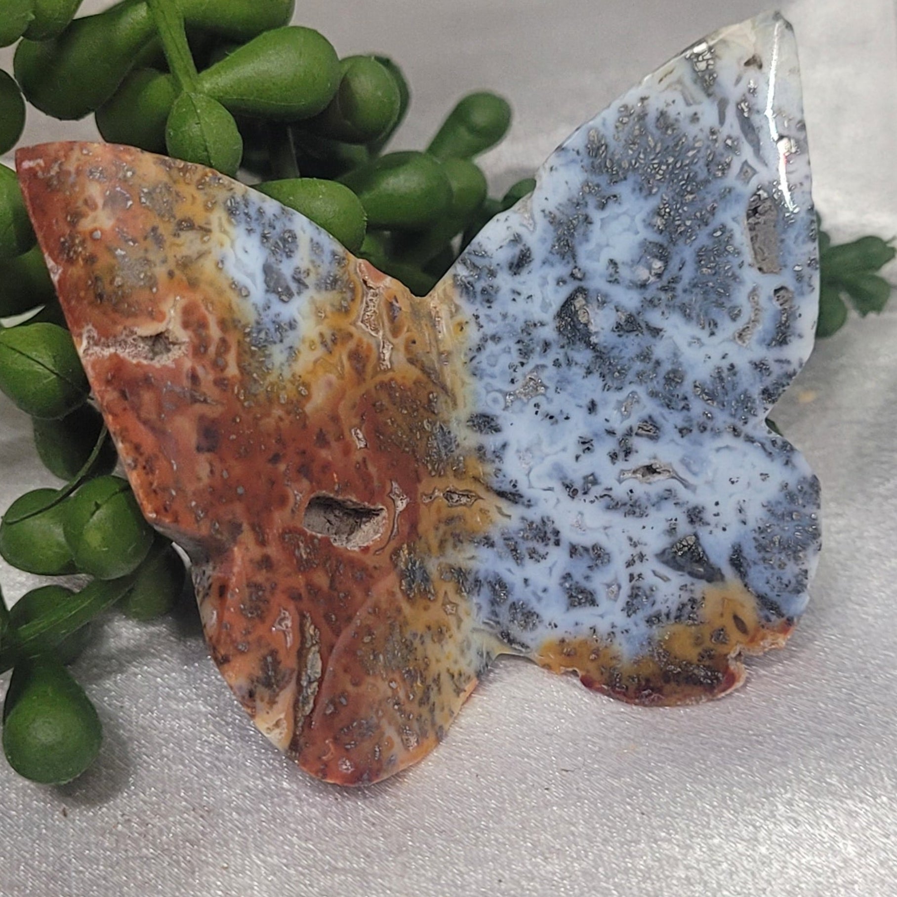 Blue Plume Agate or Pink Crazy Lace 3D Butterfly Carving
