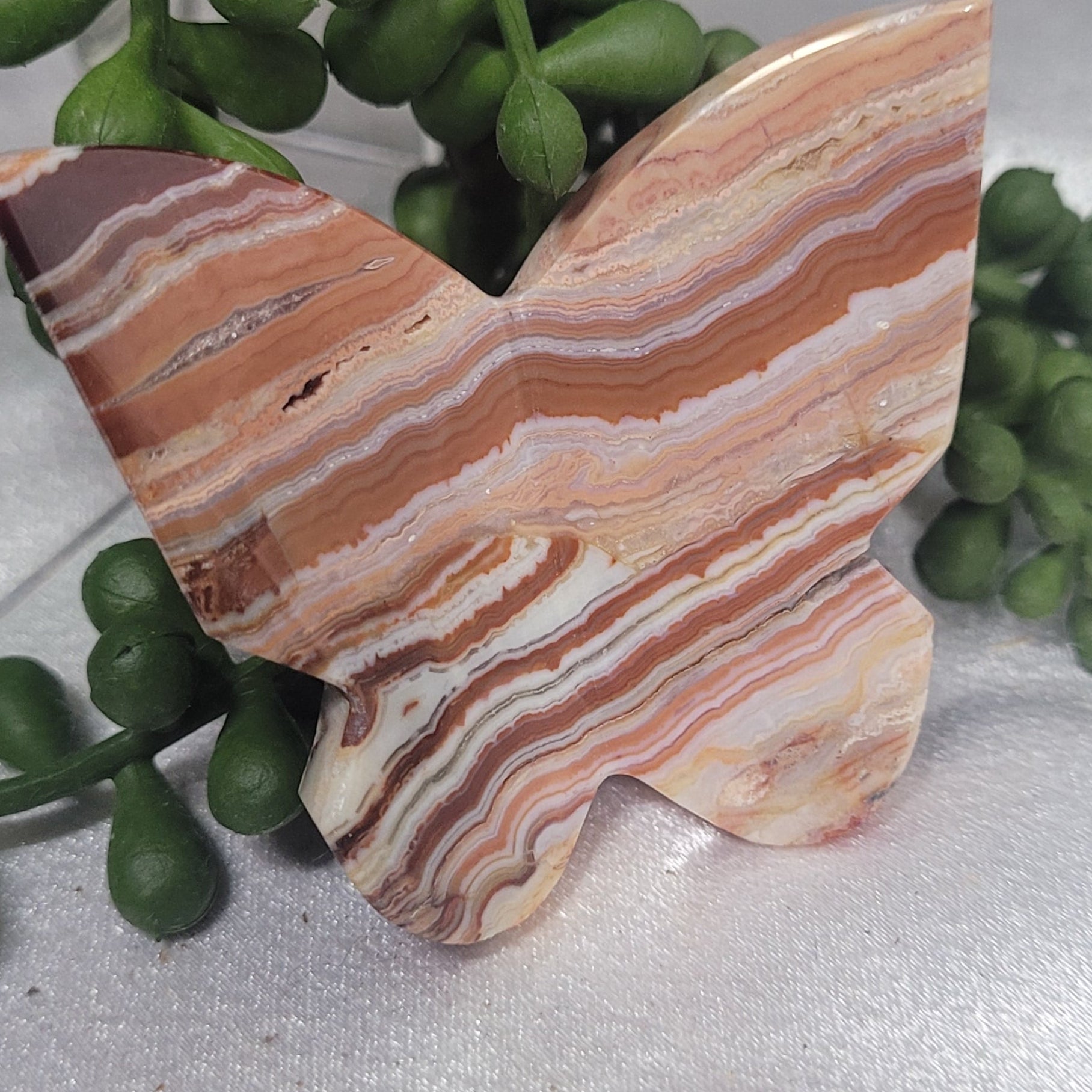 Blue Plume Agate or Pink Crazy Lace 3D Butterfly Carving