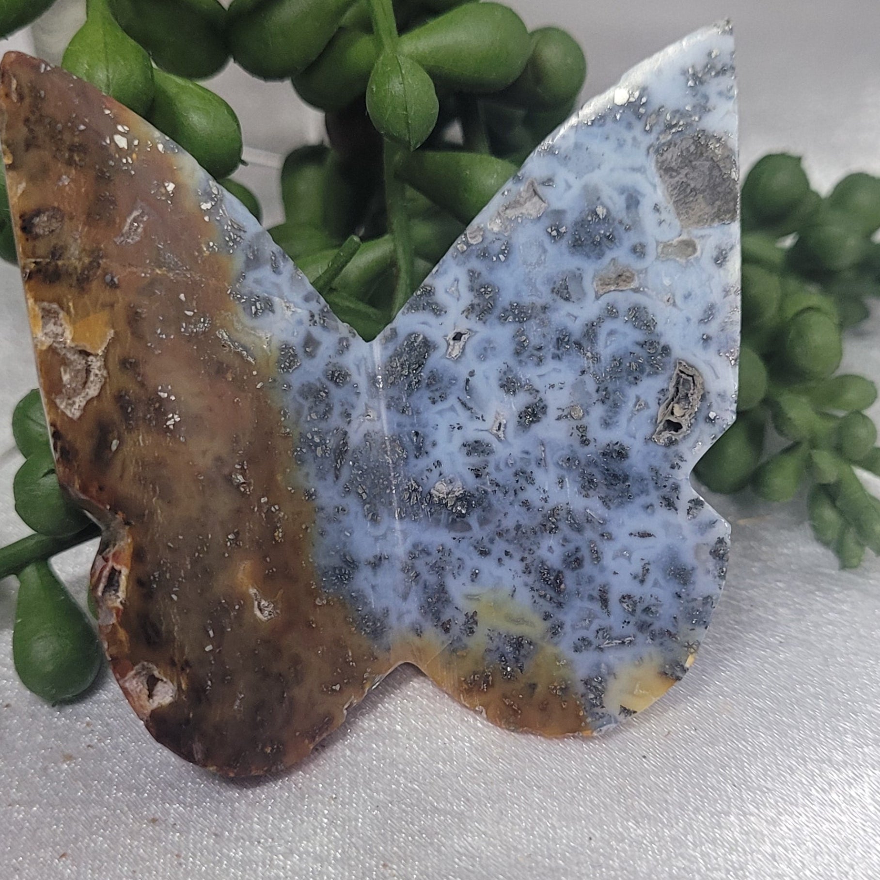 Blue Plume Agate or Pink Crazy Lace 3D Butterfly Carving
