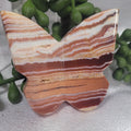 Blue Plume Agate or Pink Crazy Lace 3D Butterfly Carving