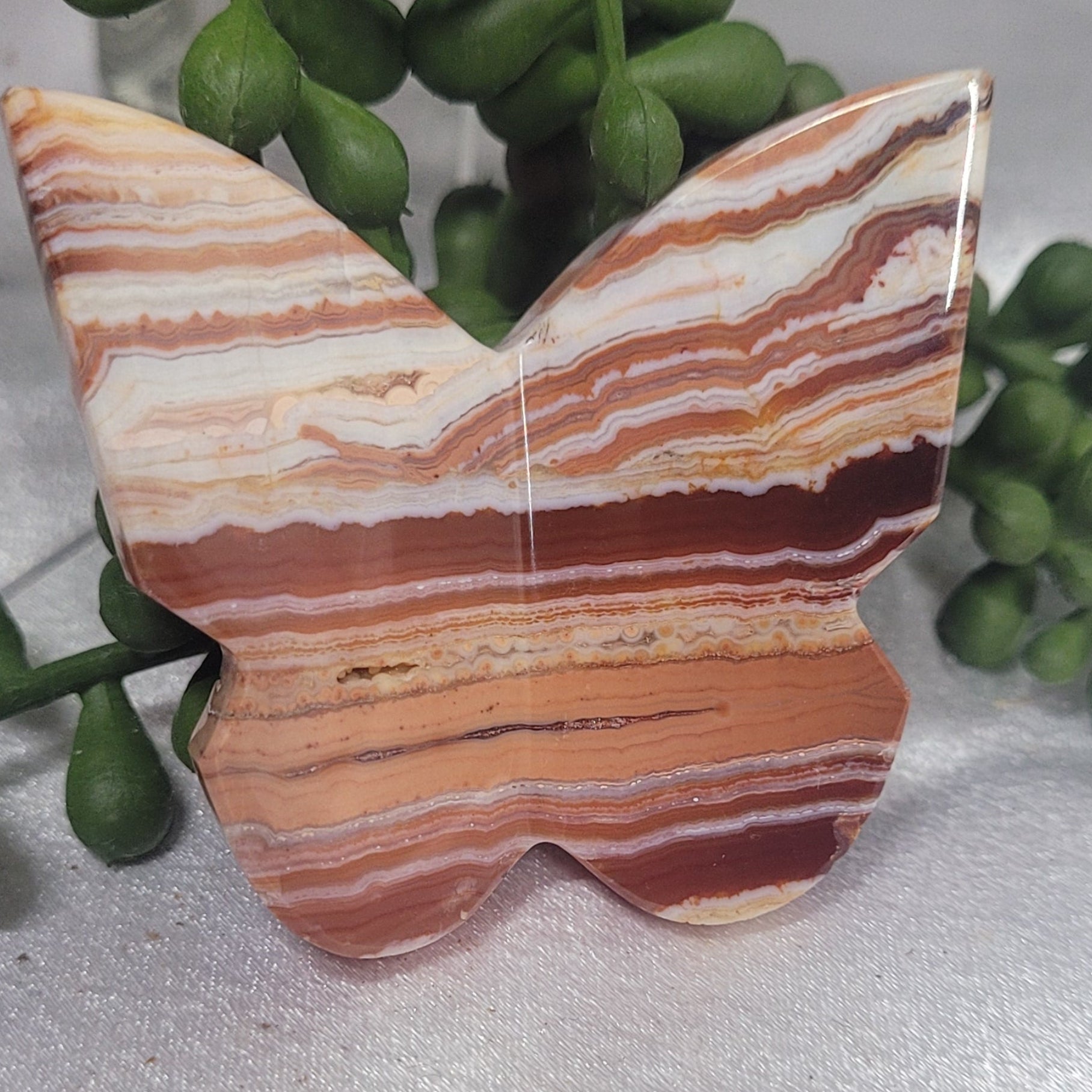 Blue Plume Agate or Pink Crazy Lace 3D Butterfly Carving