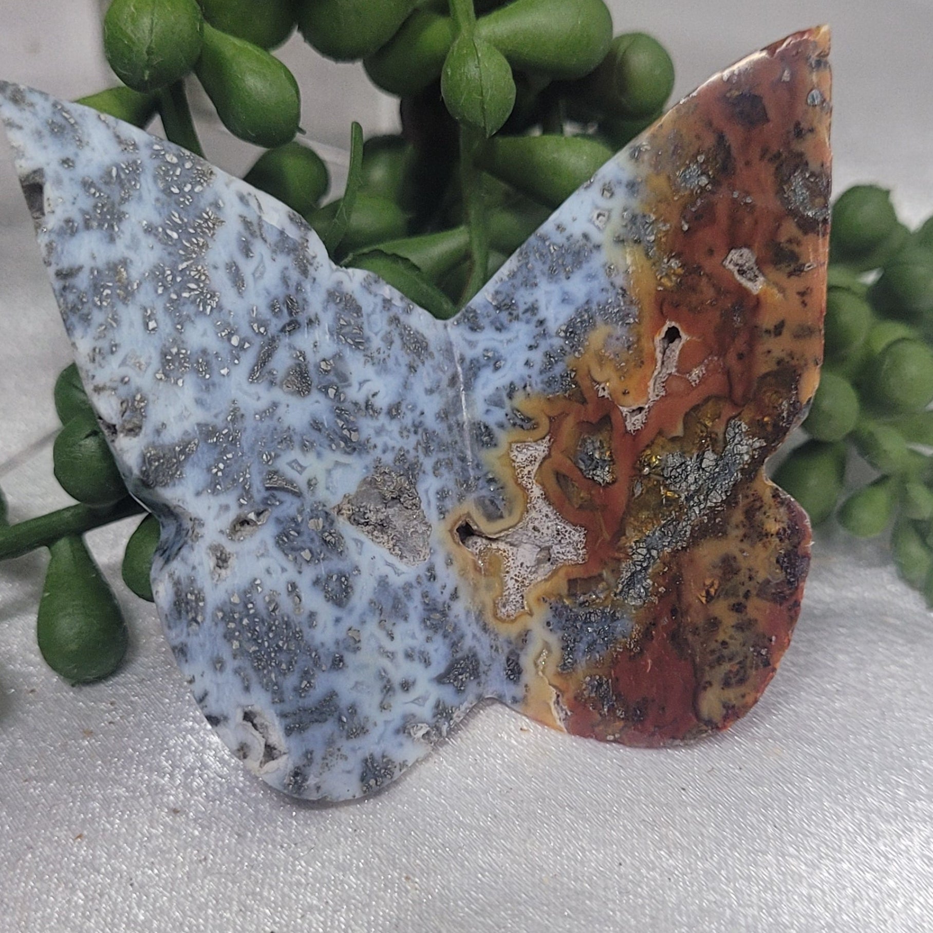 Blue Plume Agate or Pink Crazy Lace 3D Butterfly Carving