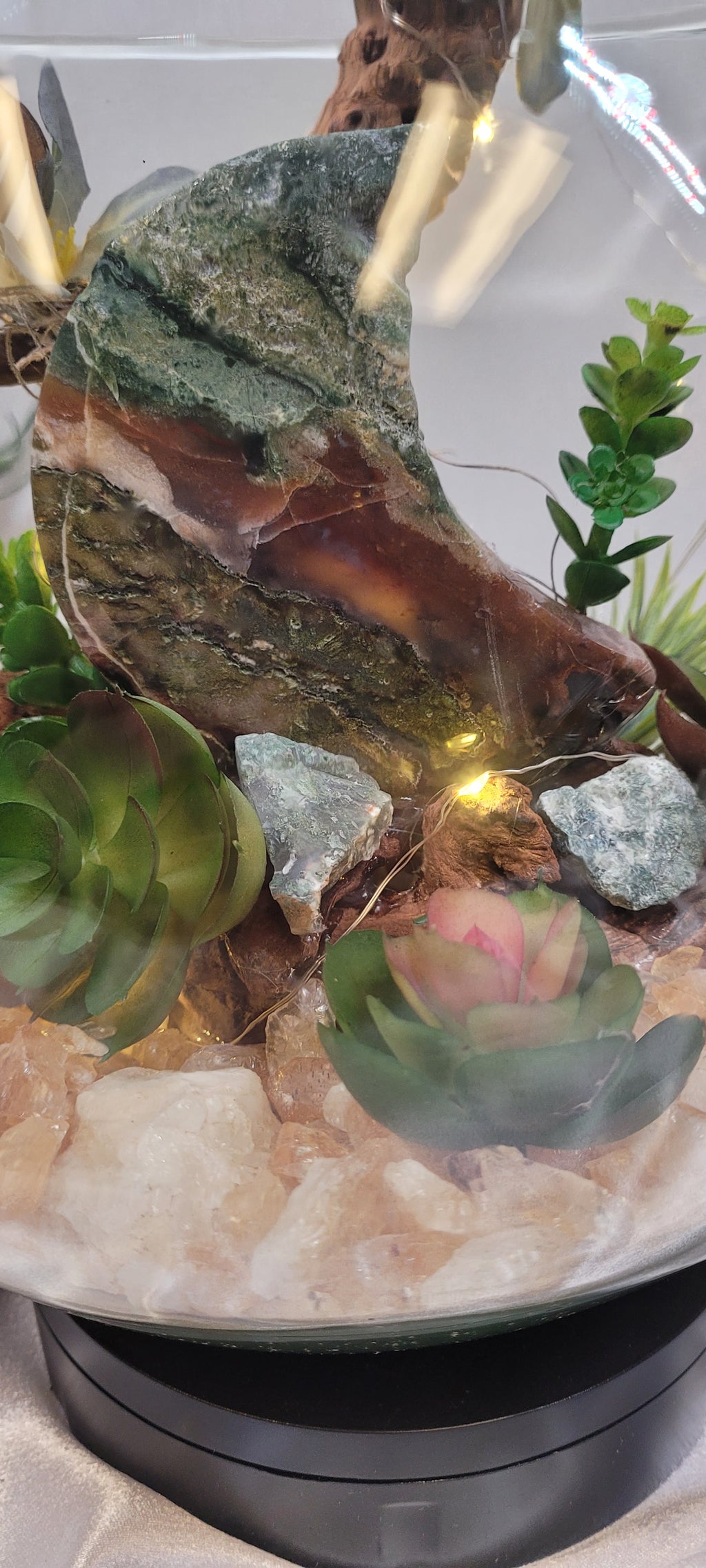 Mystic Moon Terrarium