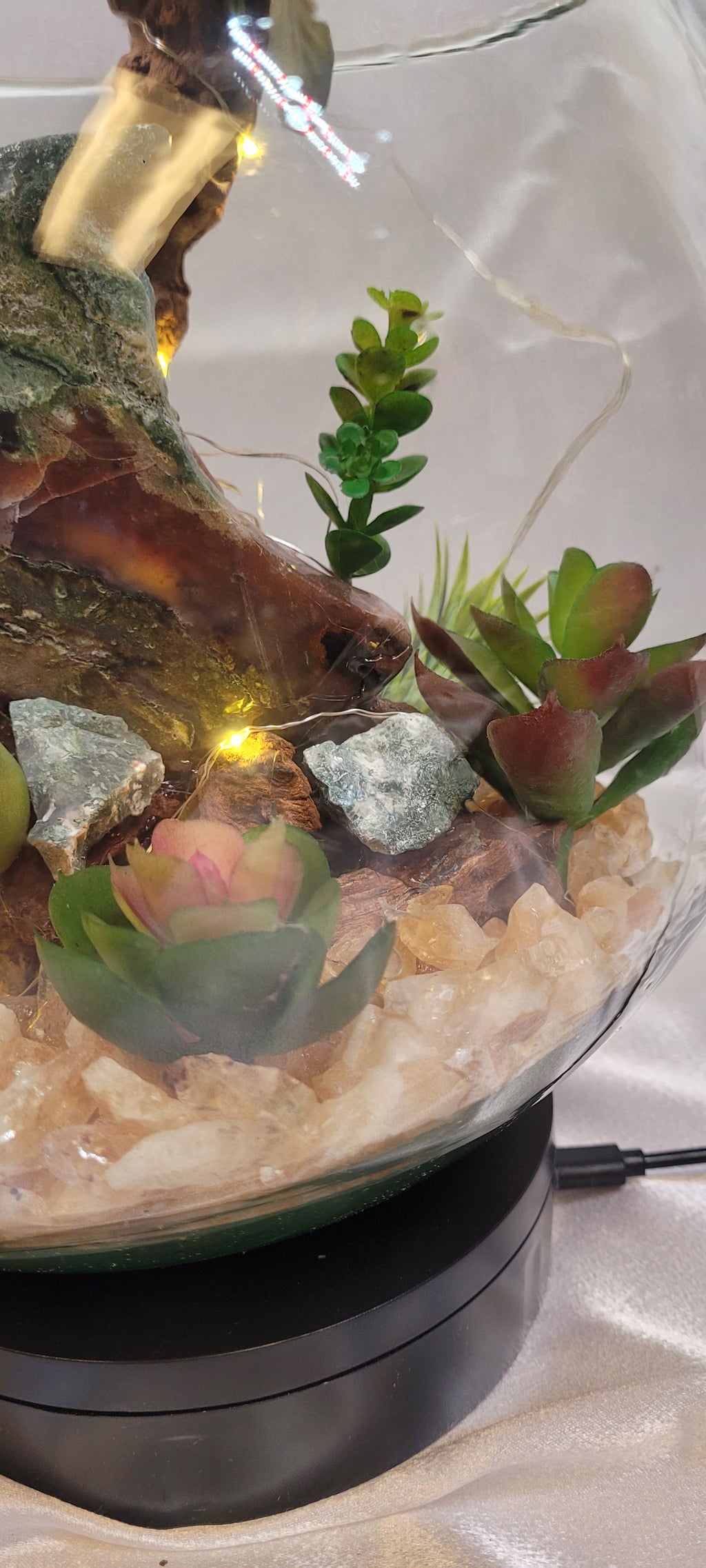 Mystic Moon Terrarium
