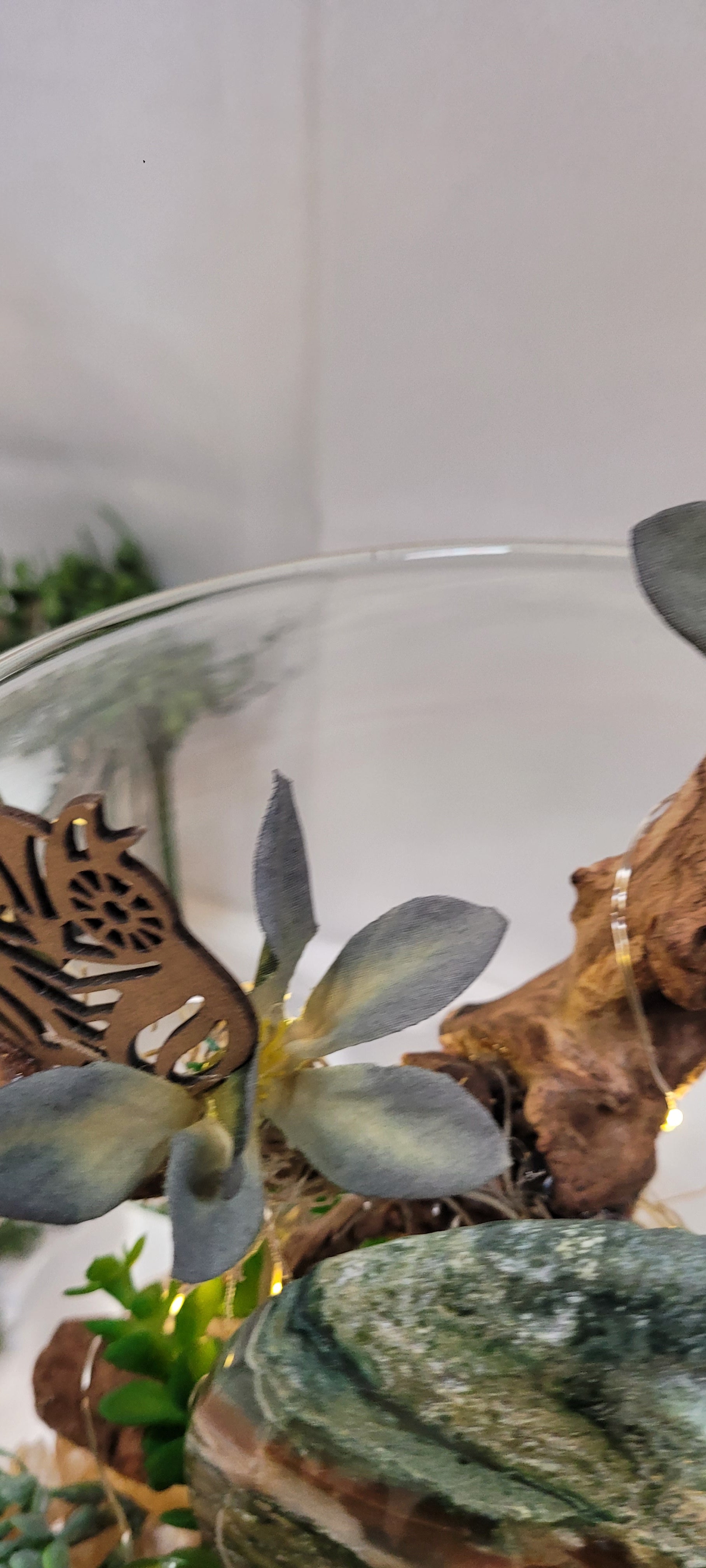 Mystic Moon Terrarium