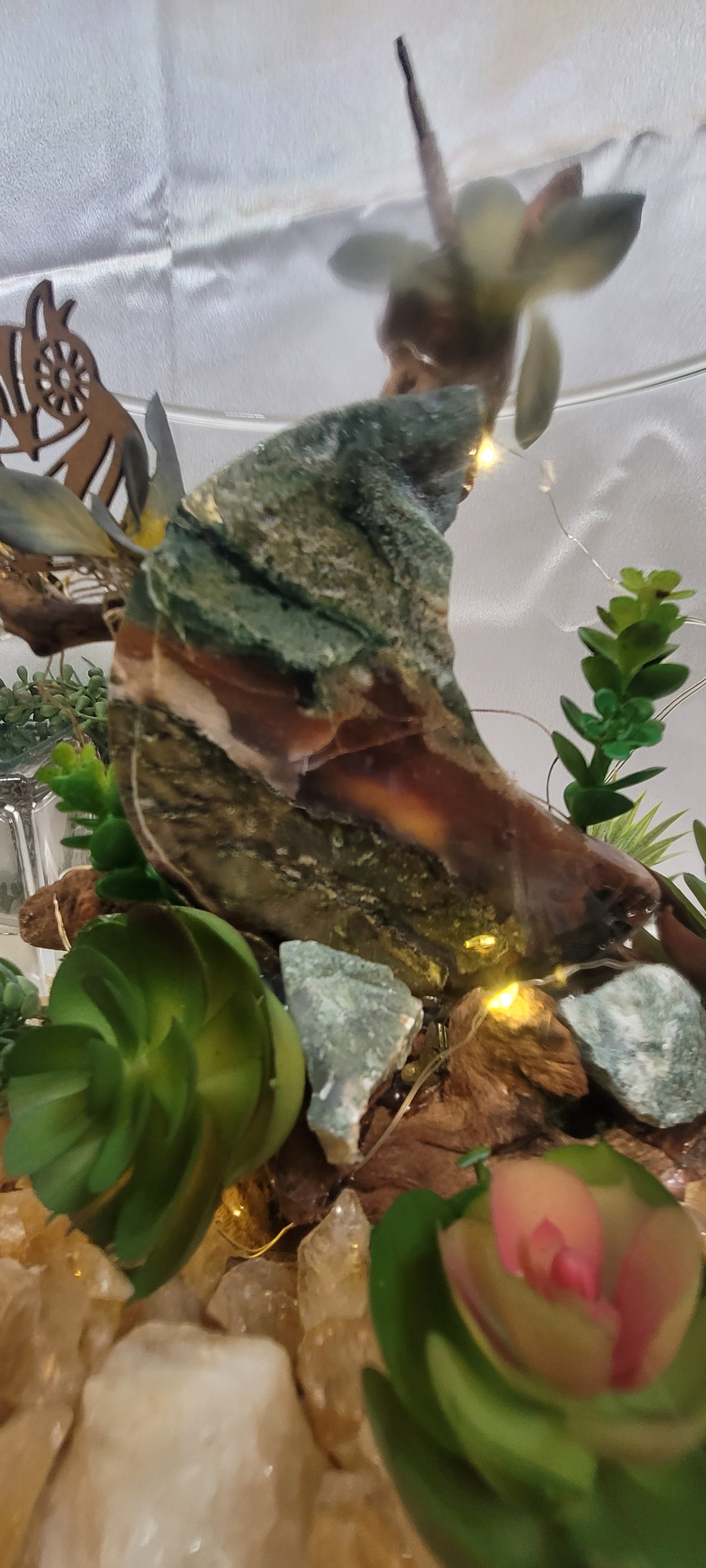 Mystic Moon Terrarium
