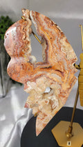 Pink Crazy Lace Agate Butterfly on Gold Stand | Druzy Crystal Butterfly Sculpture | 7.5" Wide