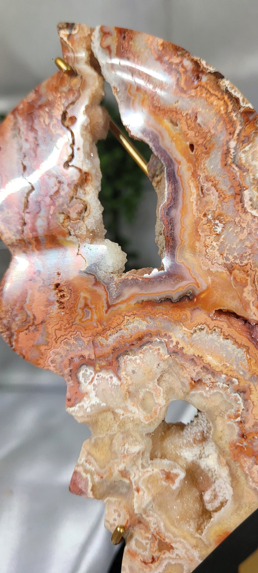 Pink Crazy Lace Agate Butterfly on Gold Stand | Druzy Crystal Butterfly Sculpture | 7.5" Wide