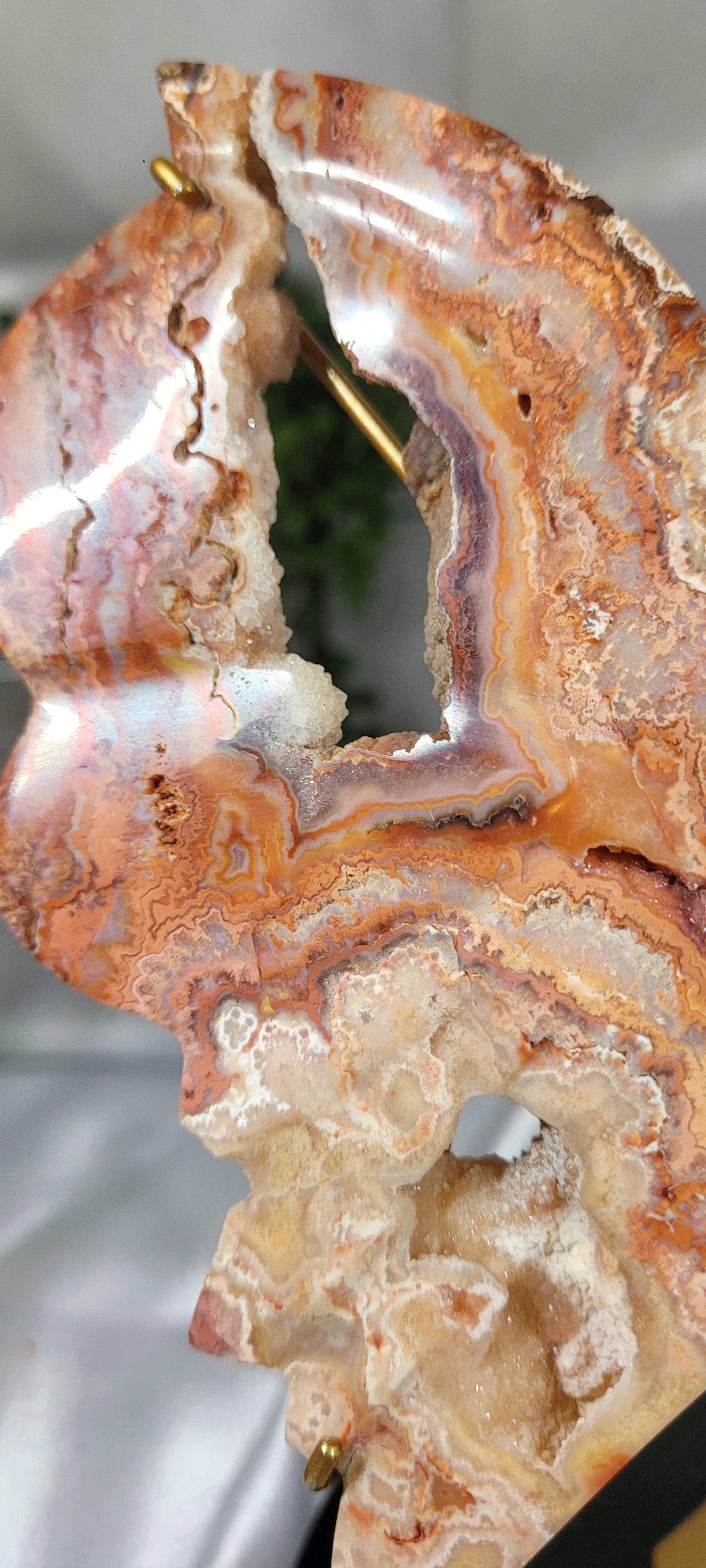 Pink Crazy Lace Agate Butterfly on Gold Stand | Druzy Crystal Butterfly Sculpture | 7.5" Wide