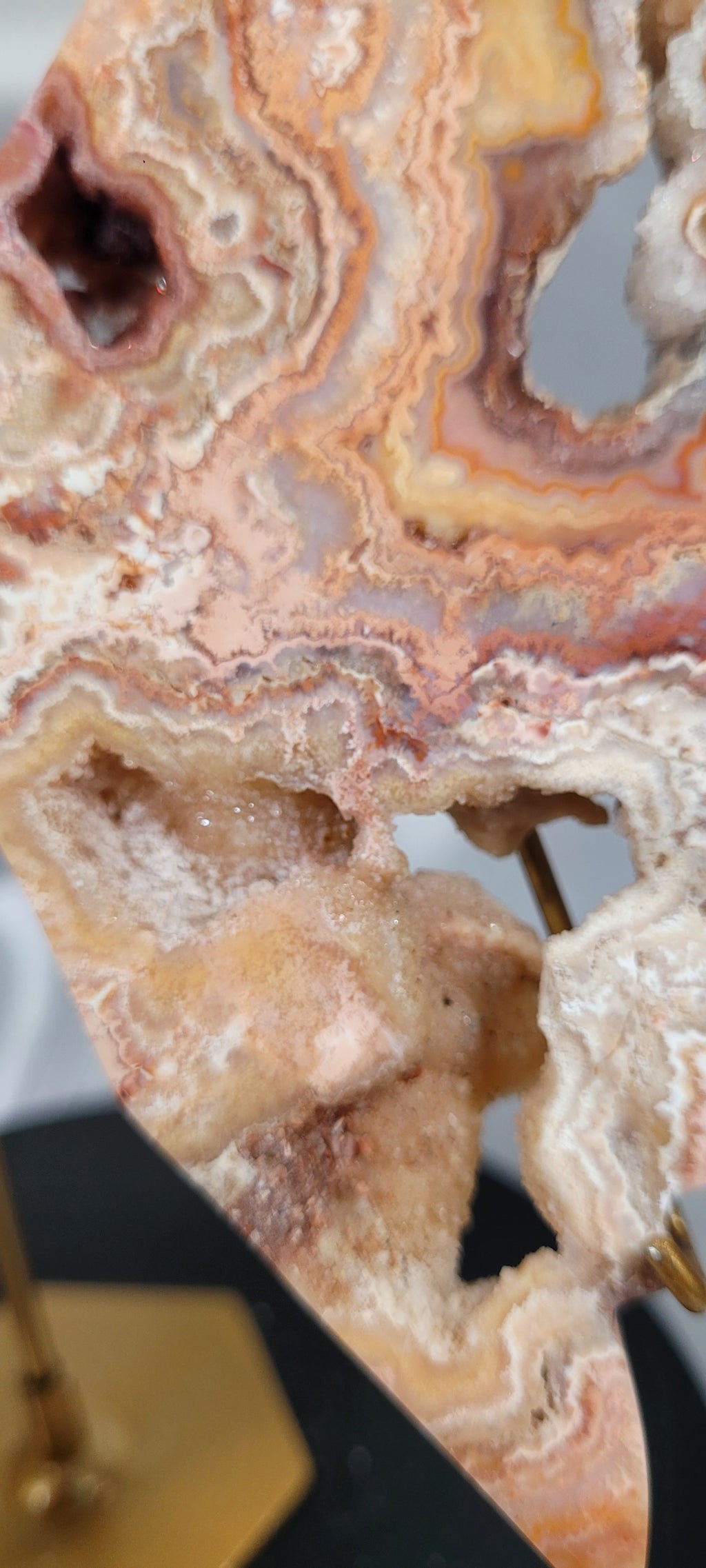 Pink Crazy Lace Agate Butterfly on Gold Stand | Druzy Crystal Butterfly Sculpture | 7.5" Wide