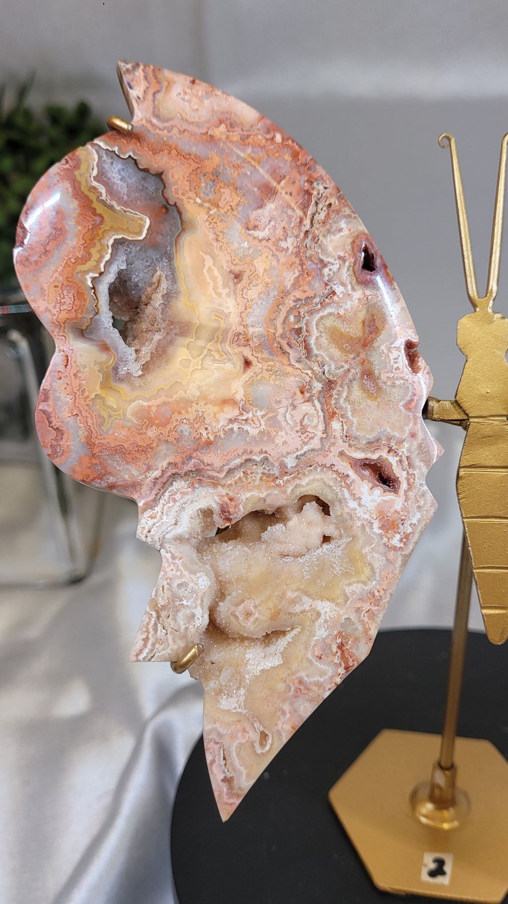 Pink Crazy Lace Agate Butterfly on Gold Stand | Druzy Crystal Butterfly Display | 6.6" Tall