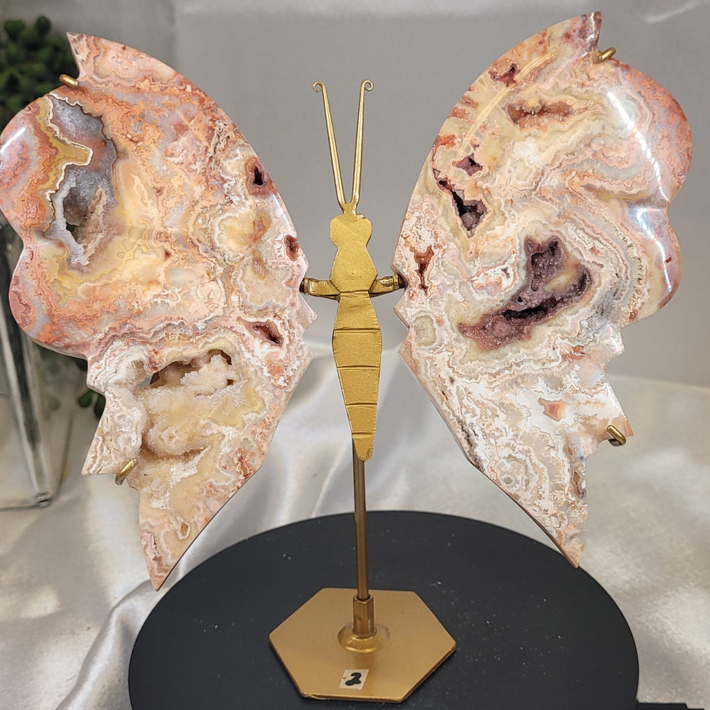Pink Crazy Lace Agate Butterfly on Gold Stand | Druzy Crystal Butterfly Display | 6.6" Tall