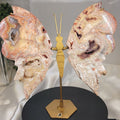 Pink Crazy Lace Agate Butterfly on Gold Stand | Druzy Crystal Butterfly Display | 6.6" Tall