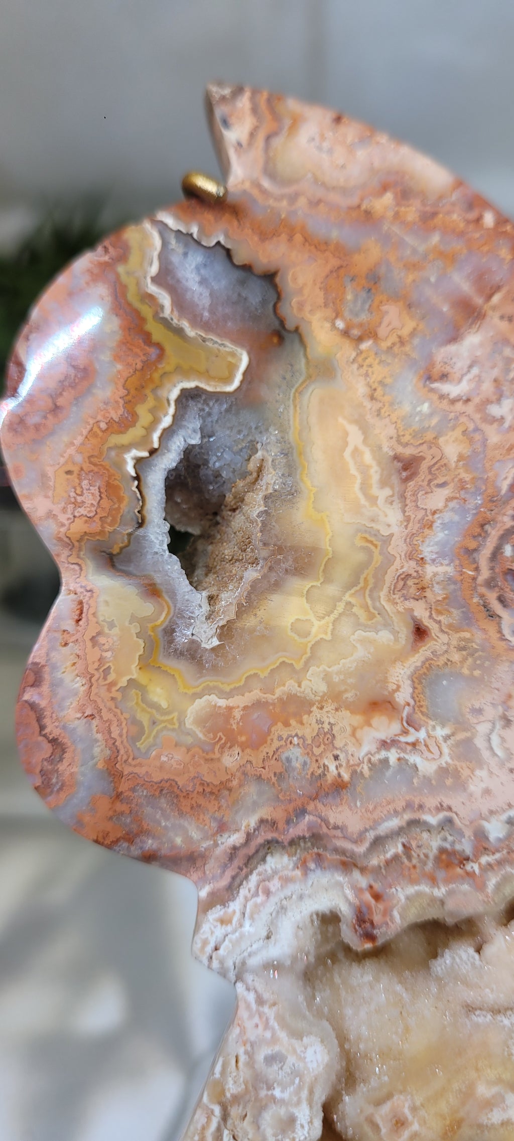Pink Crazy Lace Agate Butterfly on Gold Stand | Druzy Crystal Butterfly Display | 6.6" Tall