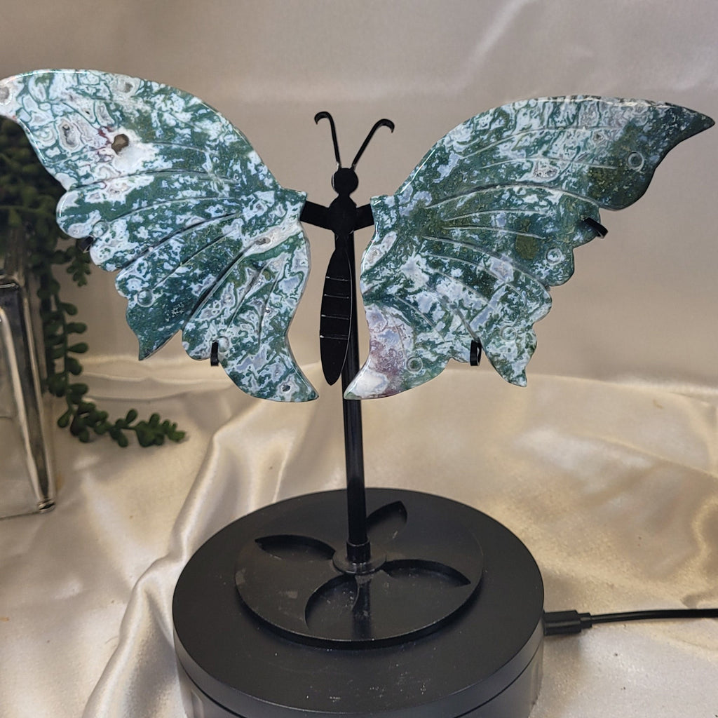 Moss Agate Butterfly Wings on Black Stand | Carved Crystal Butterfly Display | 10.5" Wide