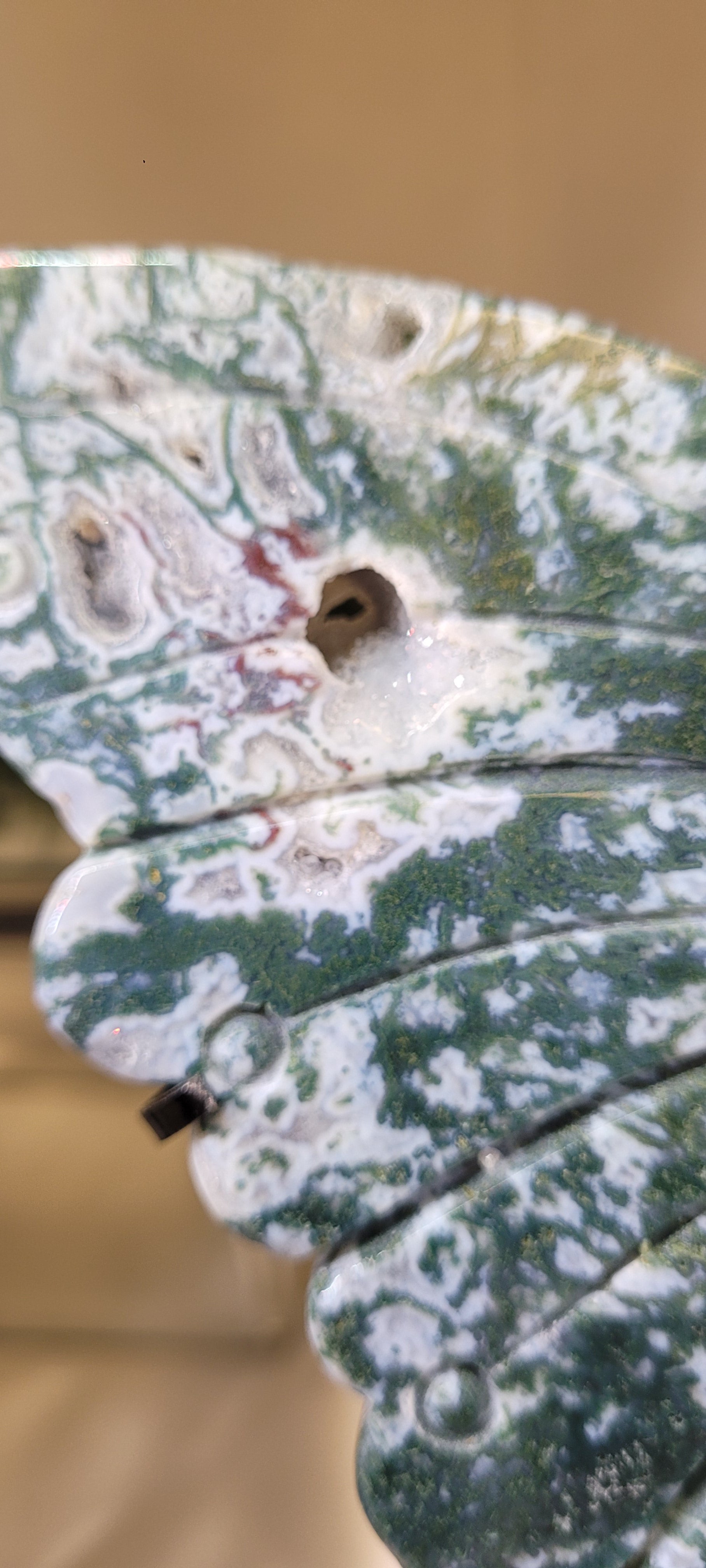 Moss Agate Butterfly Wings on Black Stand | Carved Crystal Butterfly Display | 10.5" Wide