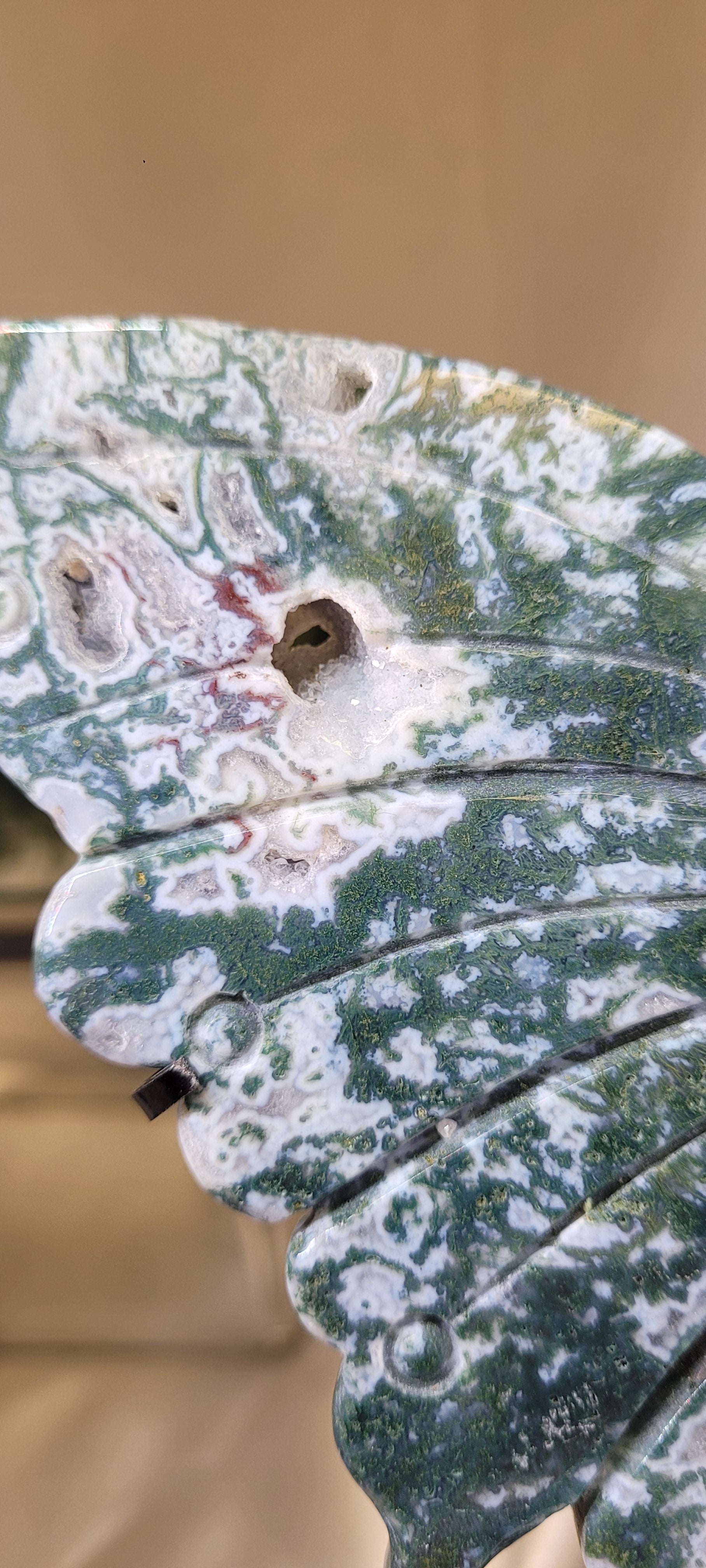 Moss Agate Butterfly Wings on Black Stand | Carved Crystal Butterfly Display | 10.5" Wide