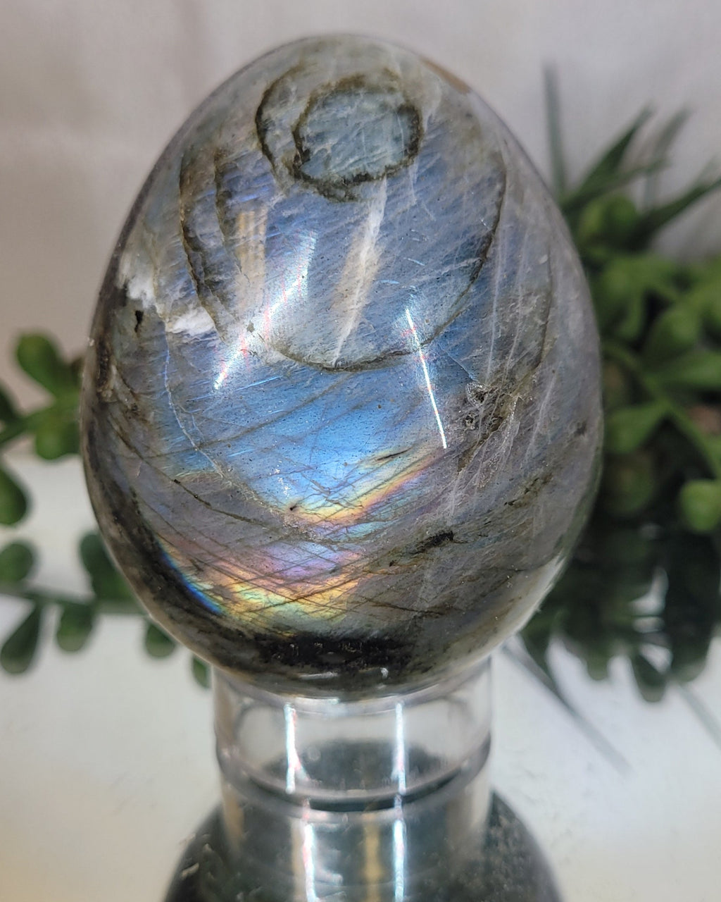 Labradorite Flash Egg | Blue Fire & Rainbow Flash Crystal Display