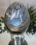 Labradorite Flash Egg | Blue Fire & Rainbow Flash Crystal Display