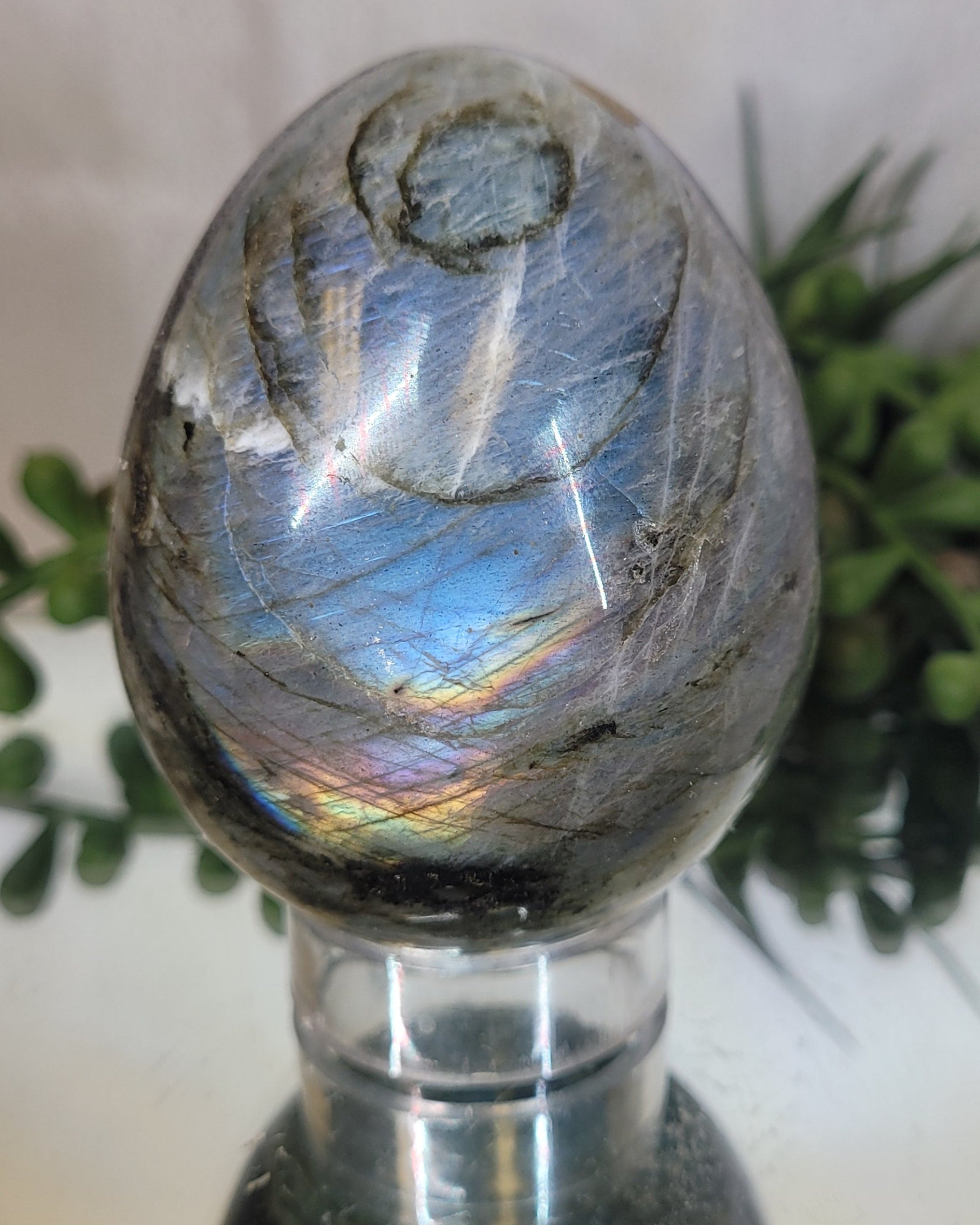 Labradorite Flash Egg | Blue Fire & Rainbow Flash Crystal Display