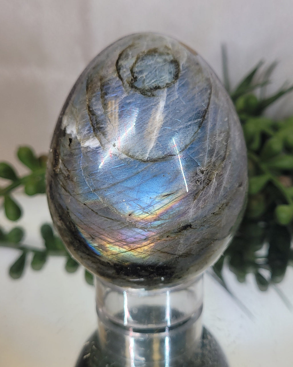 Labradorite Flash Egg | Blue Fire & Rainbow Flash Crystal Display