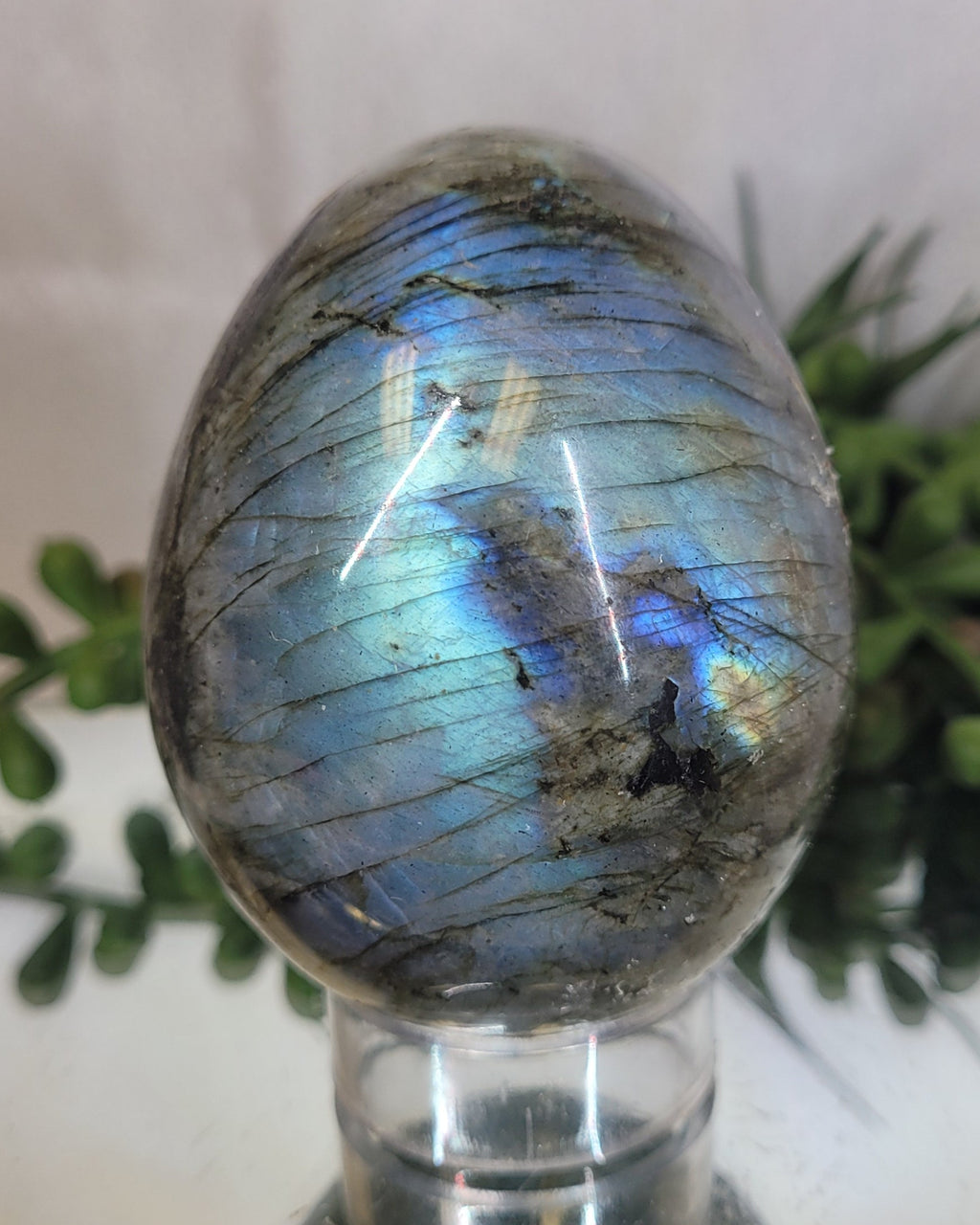 Labradorite Flash Egg | Blue Fire & Rainbow Flash Crystal Display