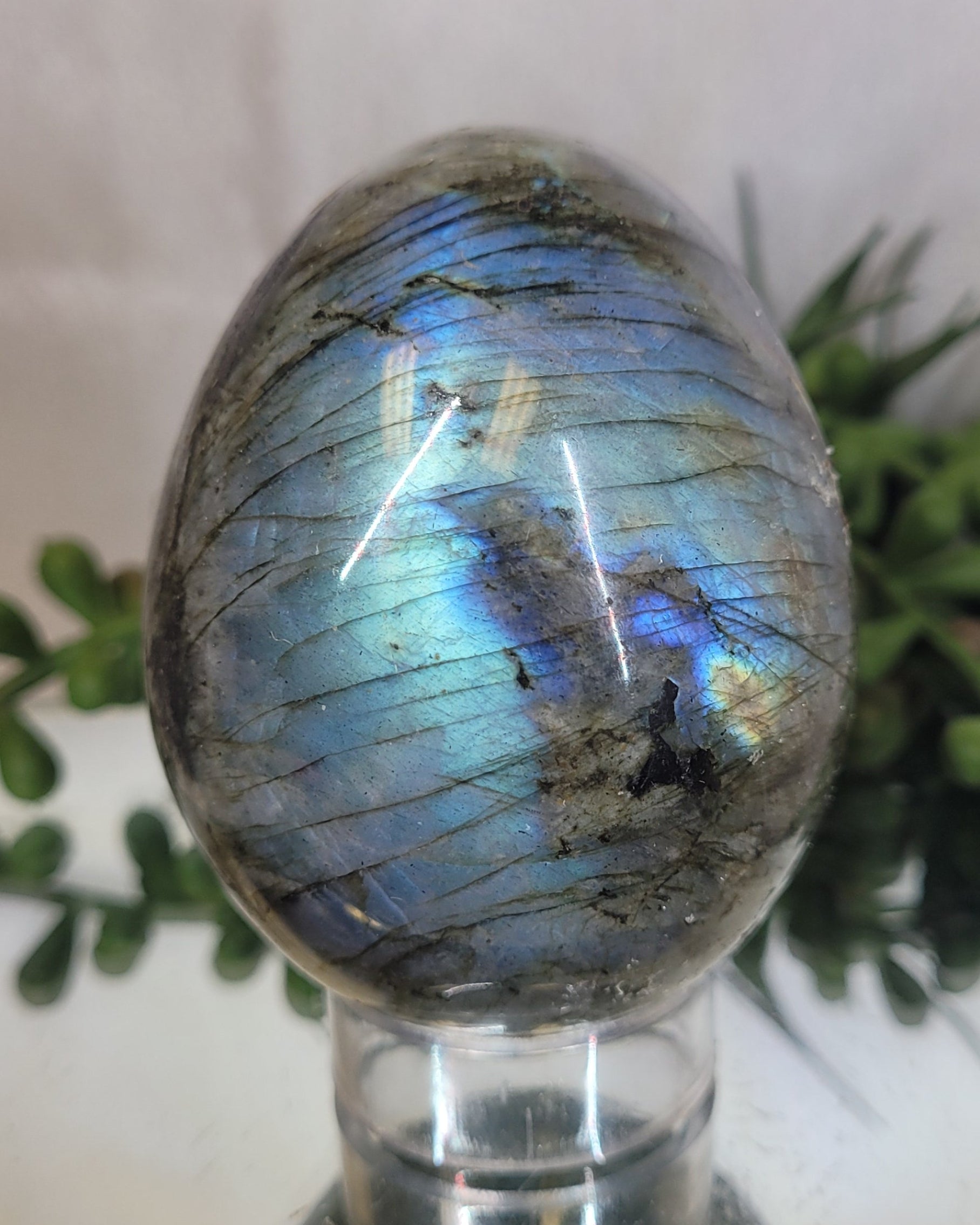 Labradorite Flash Egg | Blue Fire & Rainbow Flash Crystal Display