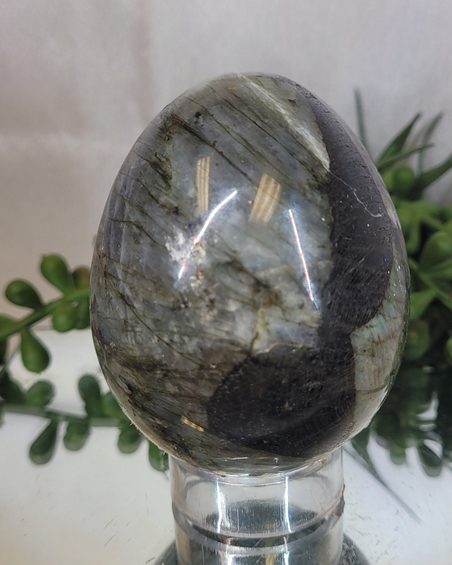 Labradorite Flash Egg | Blue Fire & Rainbow Flash Crystal Display