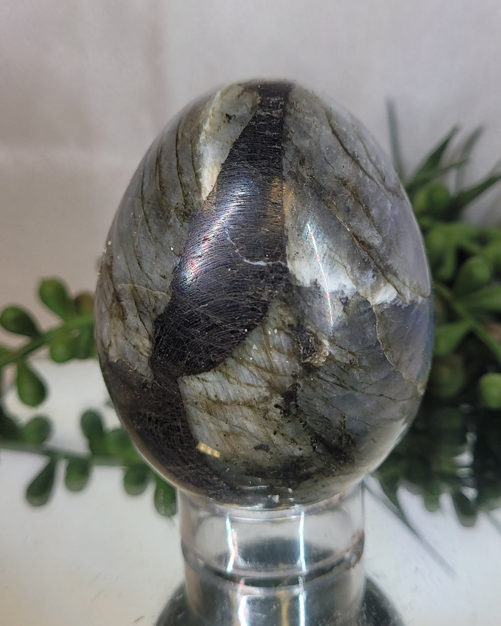 Labradorite Flash Egg | Blue Fire & Rainbow Flash Crystal Display