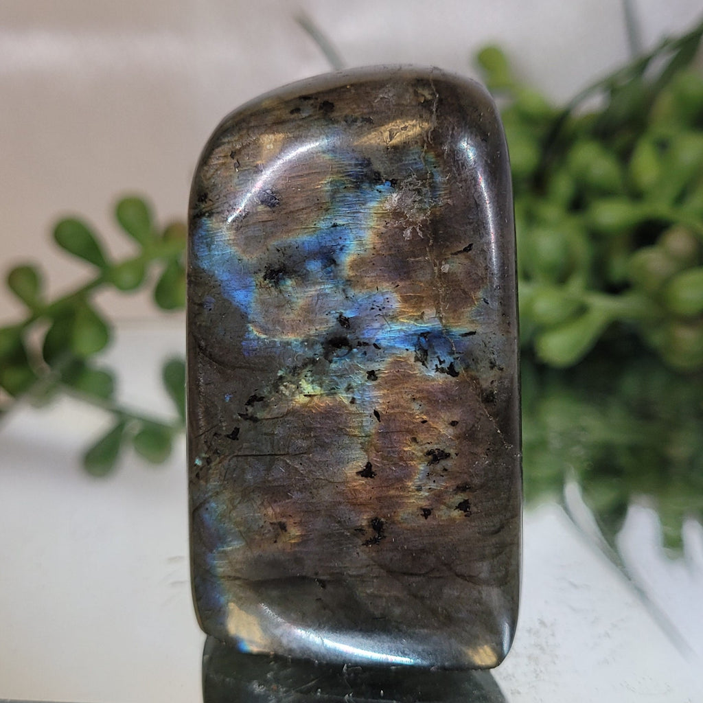 Polished Labradorite Standing Stone | 54.3mm | 75g | One of a Kind