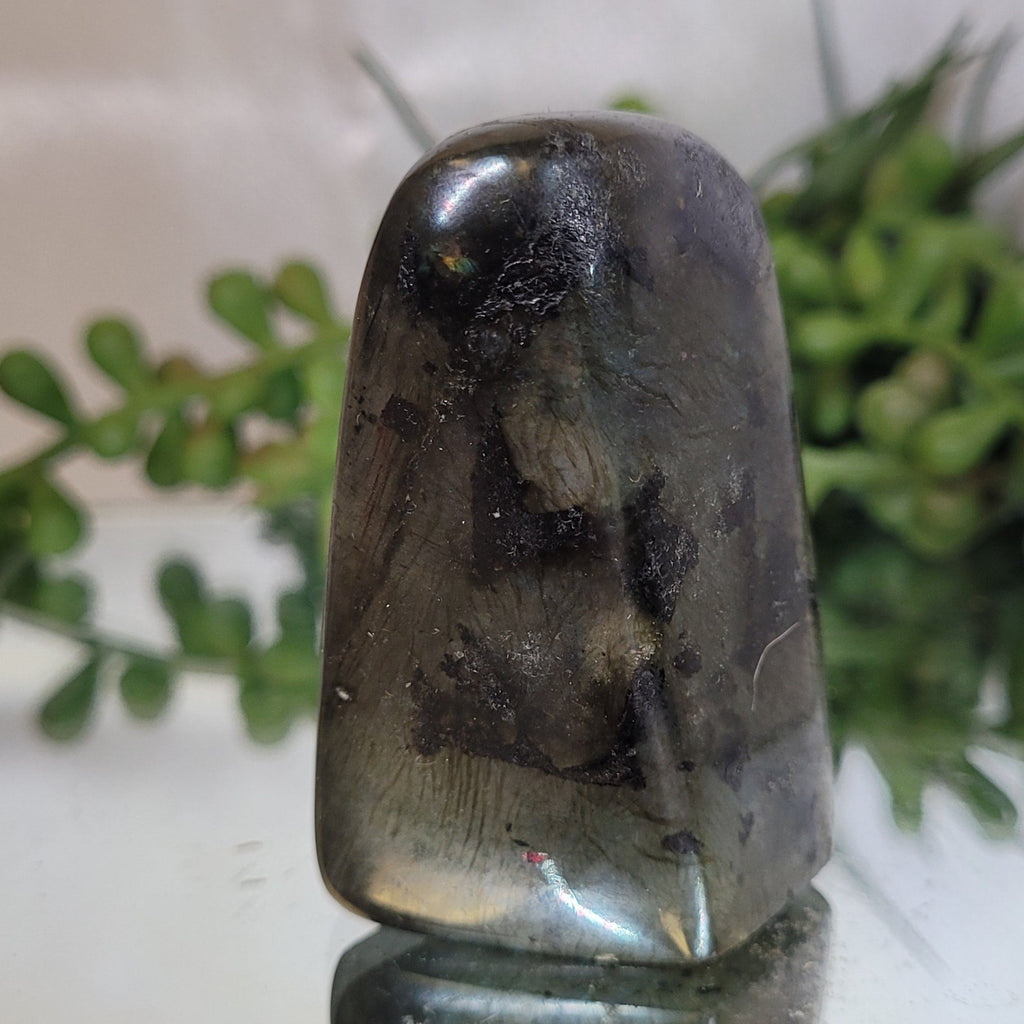 Polished Labradorite Standing Stone | 54.3mm | 75g | One of a Kind