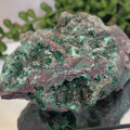 Sparkling Malachite Vug Specimen 383g