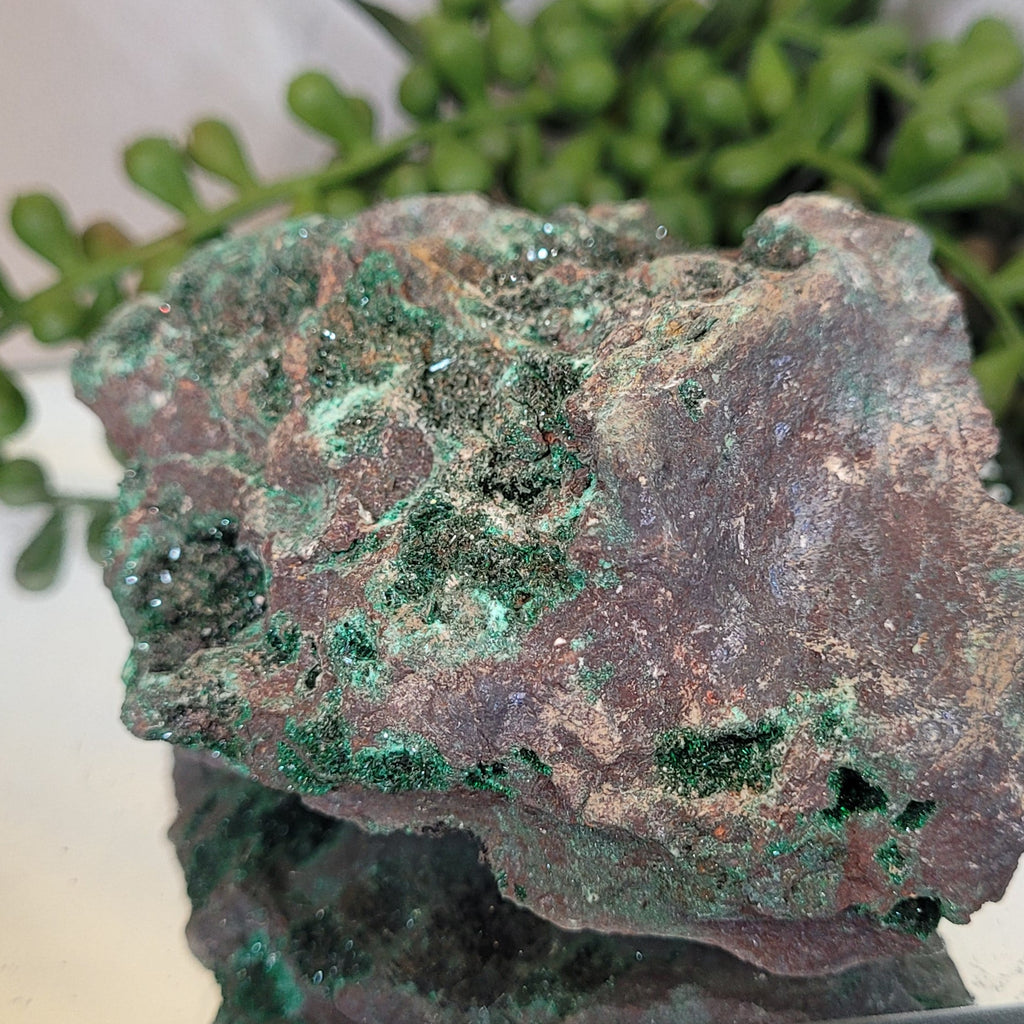 Sparkling Malachite Vug Specimen 383g