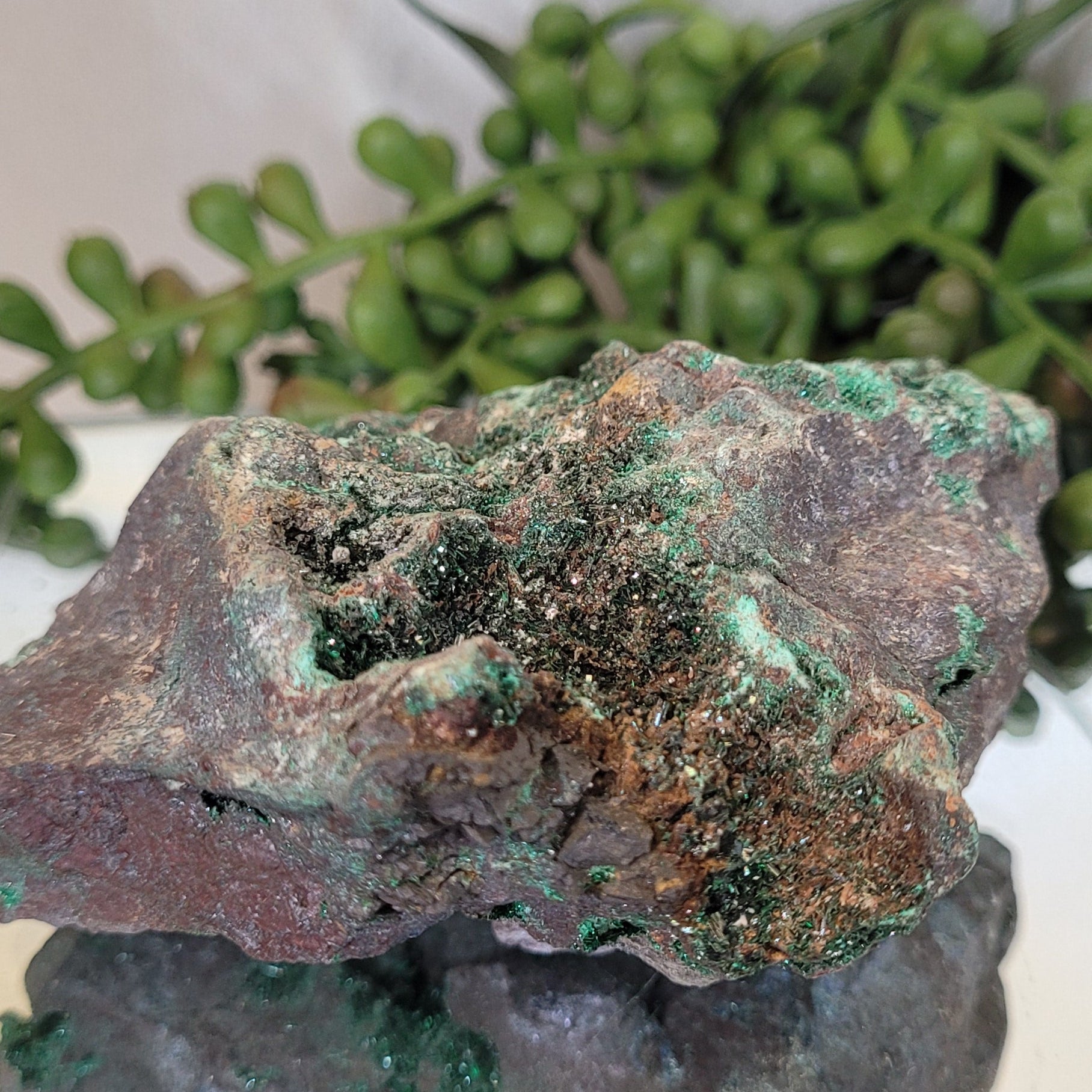 Sparkling Malachite Vug Specimen 383g