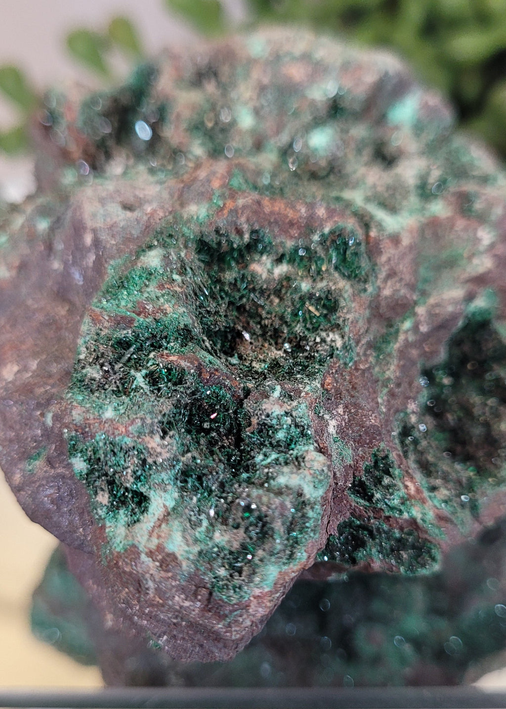 Sparkling Malachite Vug Specimen 383g