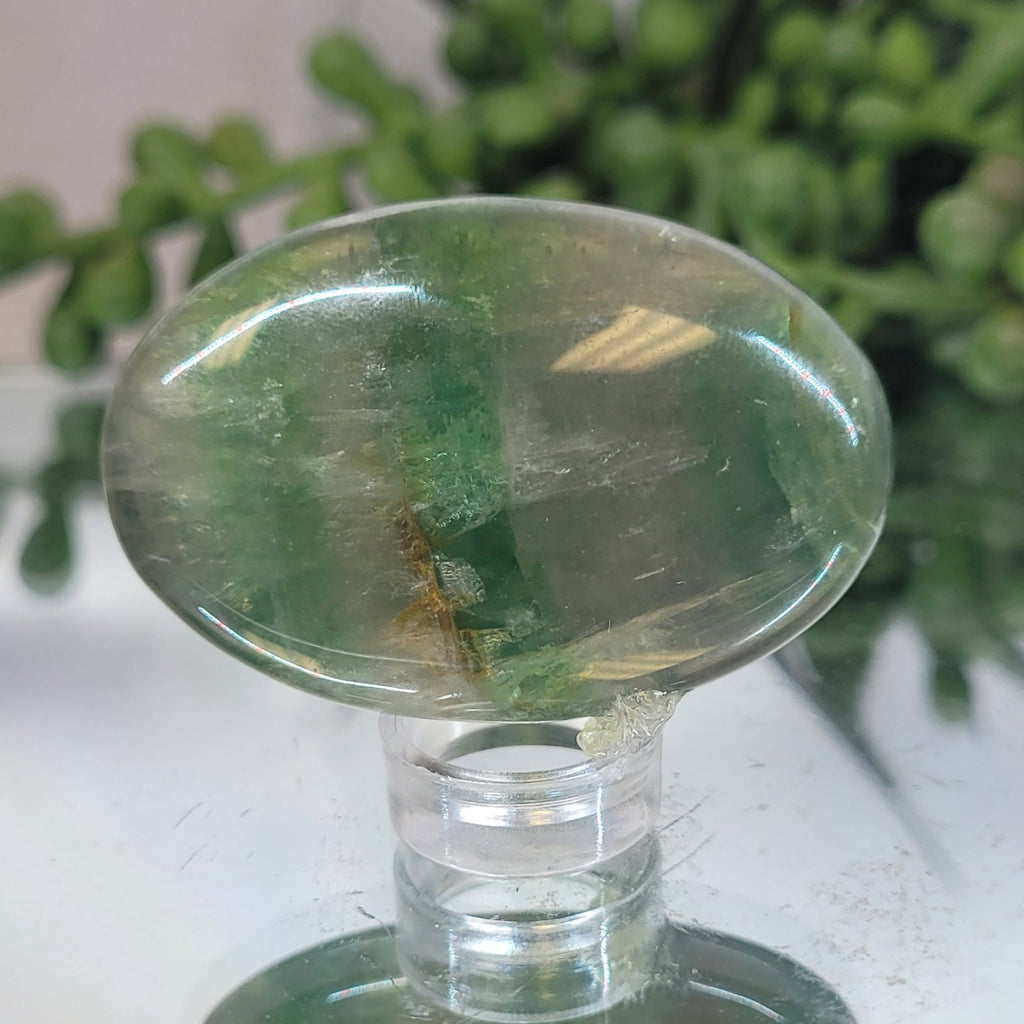 Green Fluorite Palm Stone | Polished Fluorite Worry Stone | Translucent Crystal Palm Stone