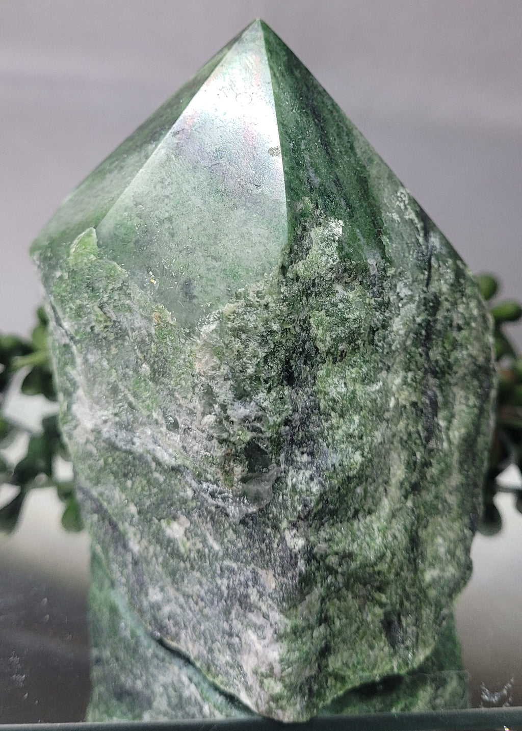 Natural Serpentine Rough Point | Green Serpentine Crystal Tower | Polished Freeform Display