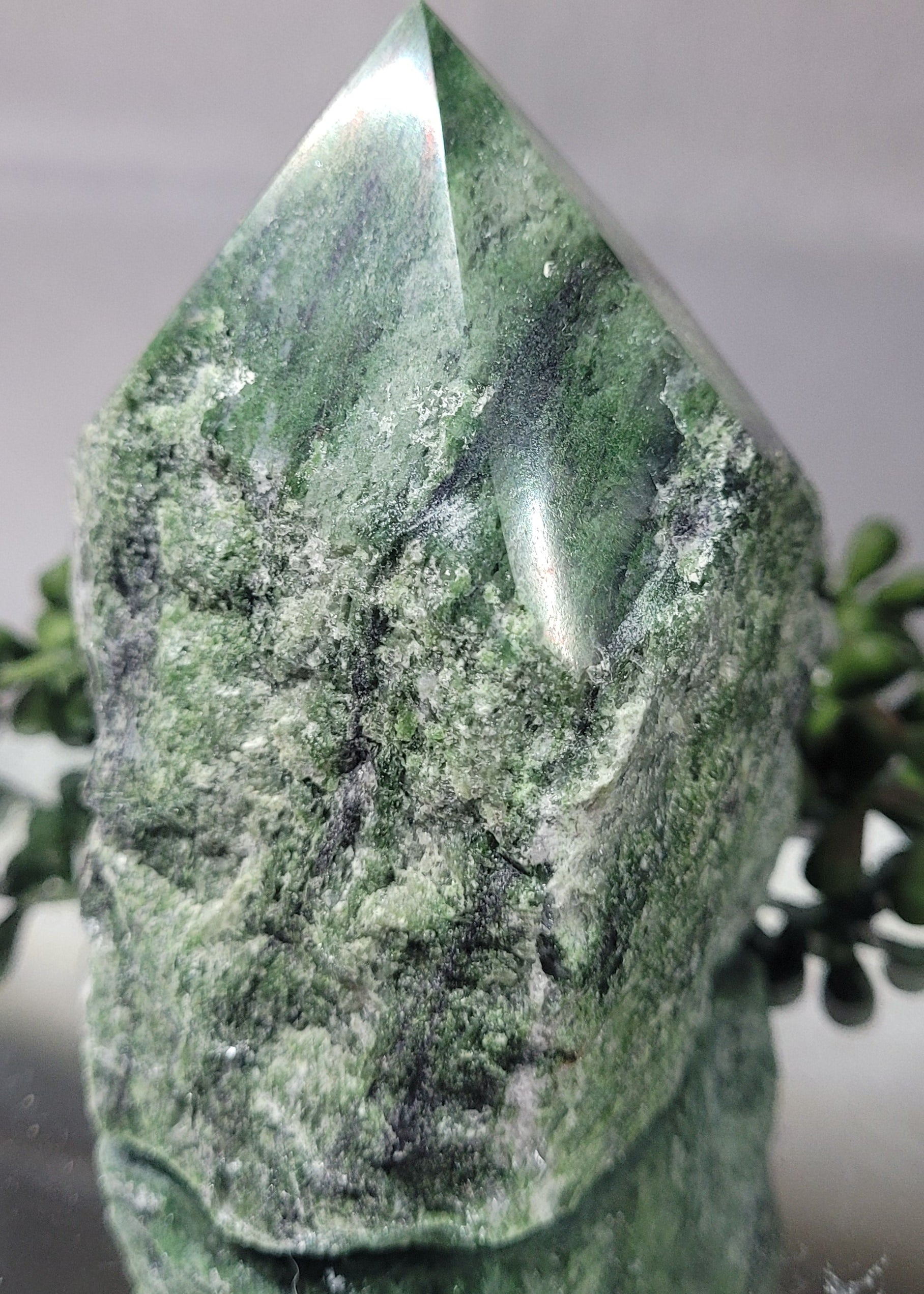 Natural Serpentine Rough Point | Green Serpentine Crystal Tower | Polished Freeform Display