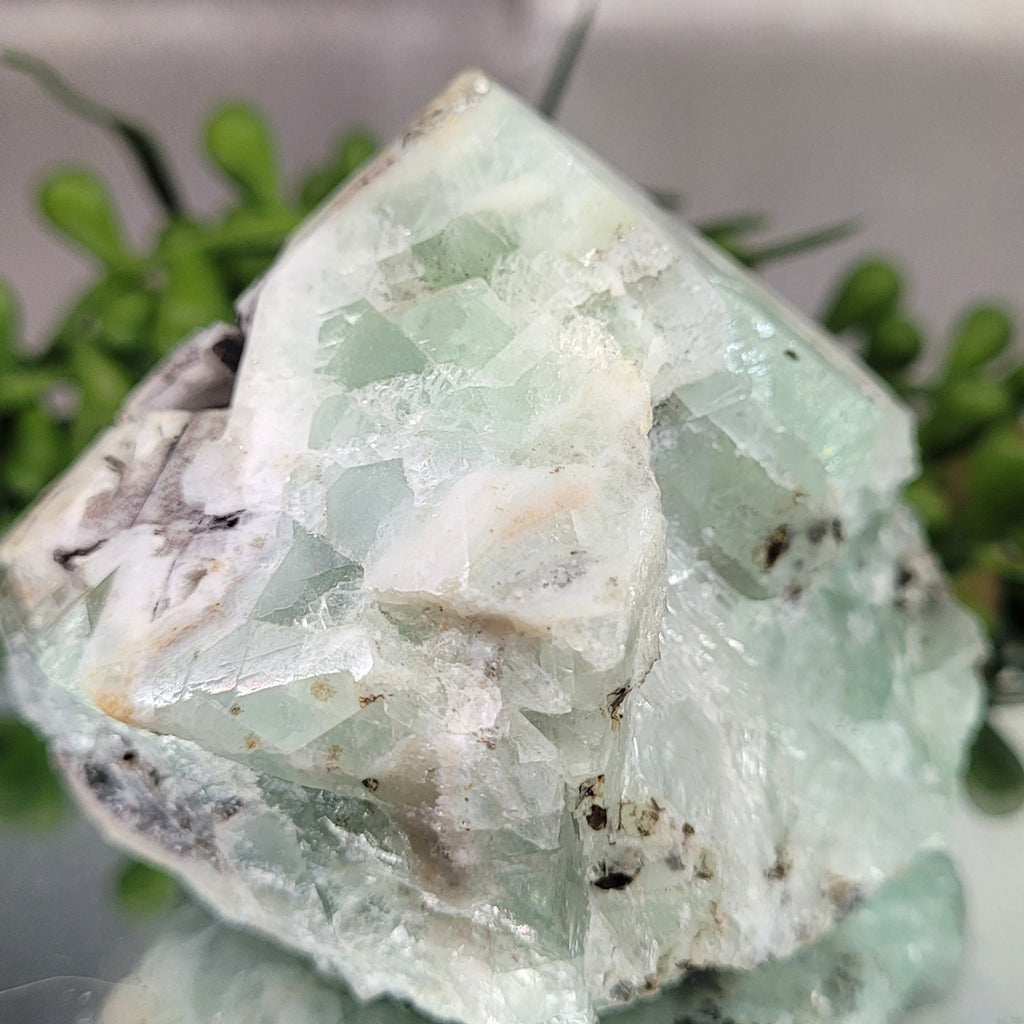 Green Fluorite Crystal Specimen with Mica Matrix | Natural Mineral Display Piece | 231g