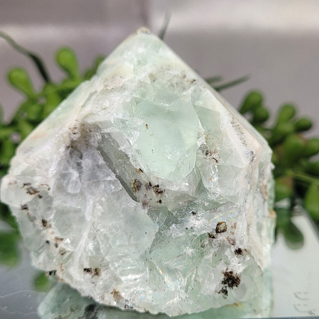 Green Fluorite Crystal Specimen with Mica Matrix | Natural Mineral Display Piece | 231g